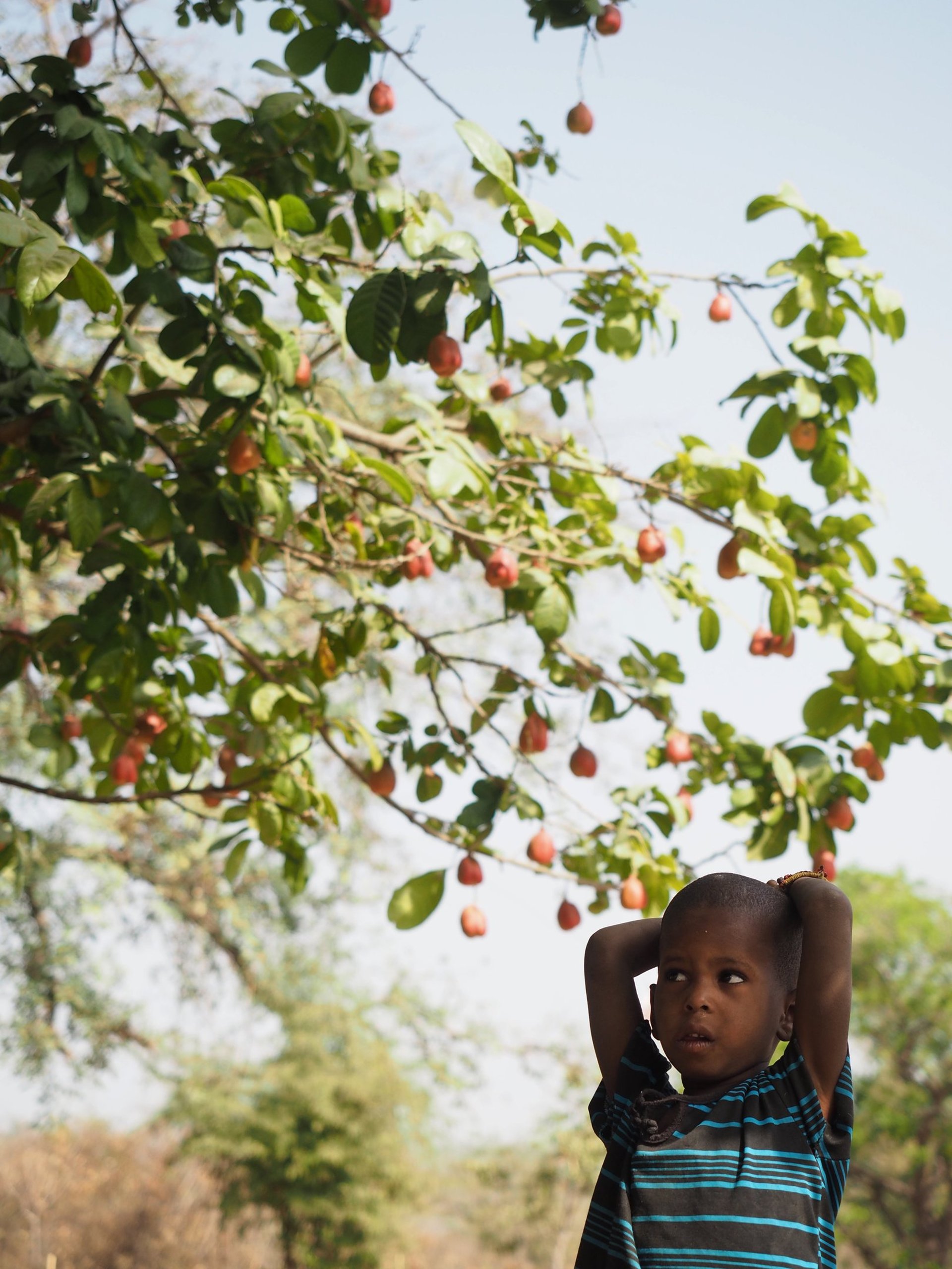 gray computer monitor
