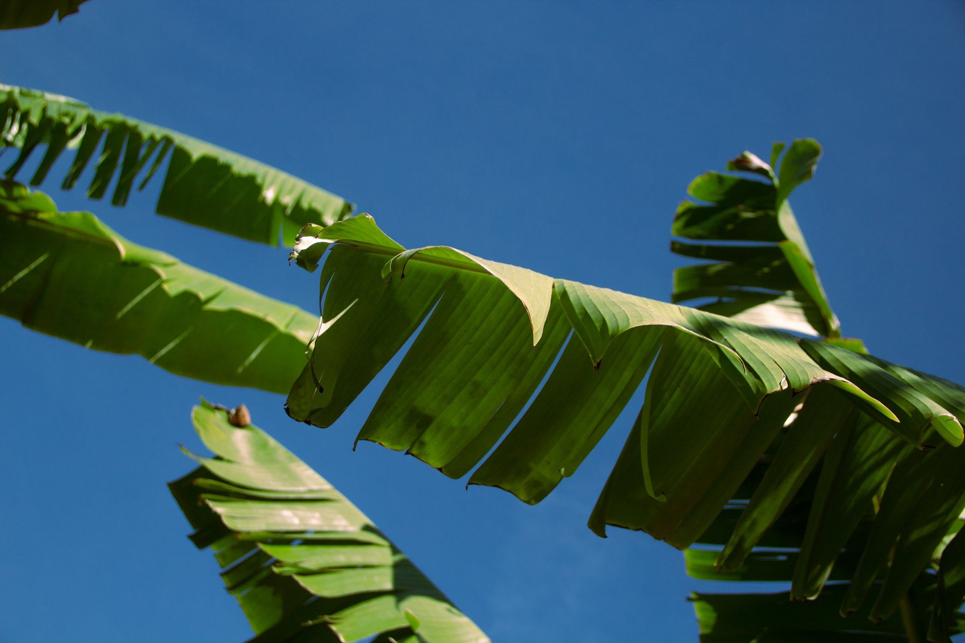 gray computer monitor