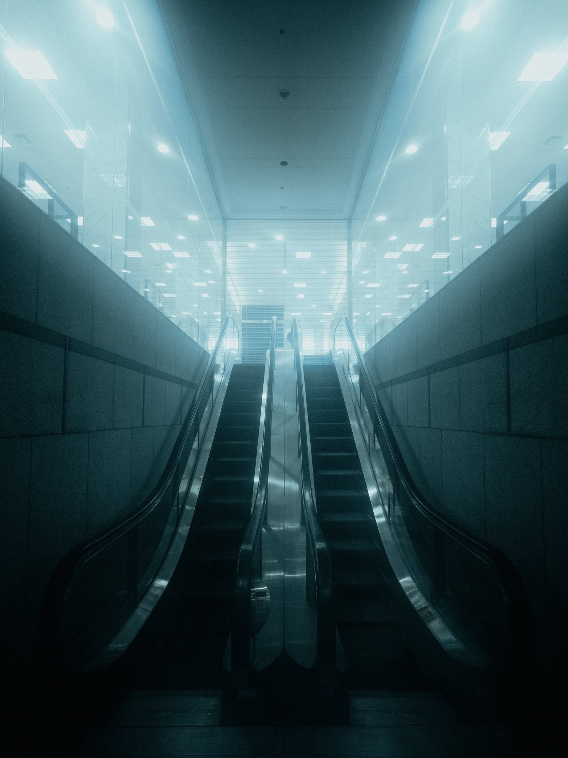 black blue and yellow textile