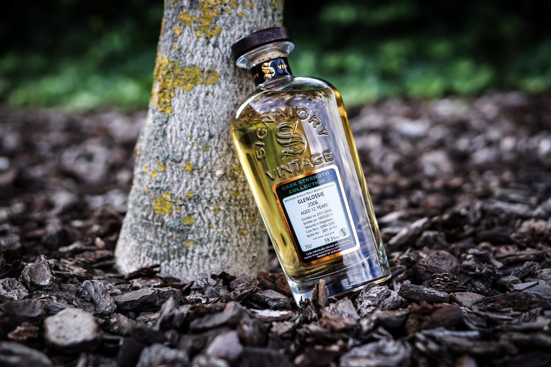 grayscale photo of house near body of water