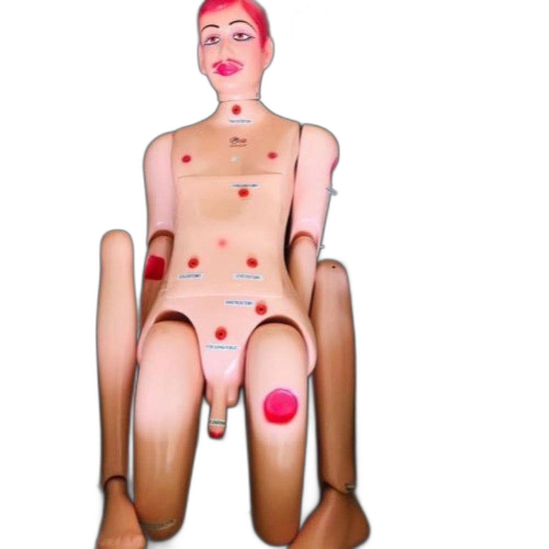Nursing Manikin Model