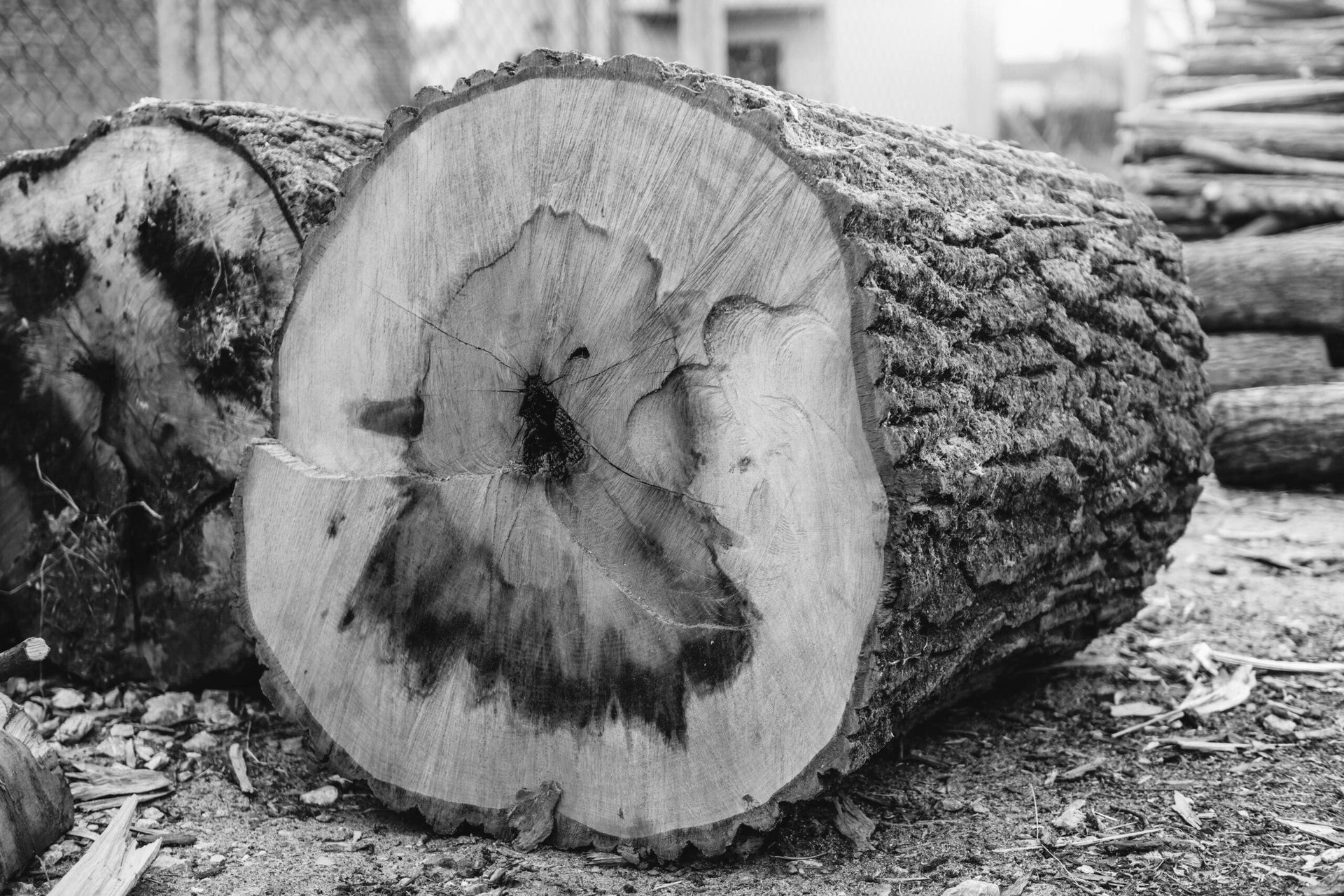 photo of brown wood slab