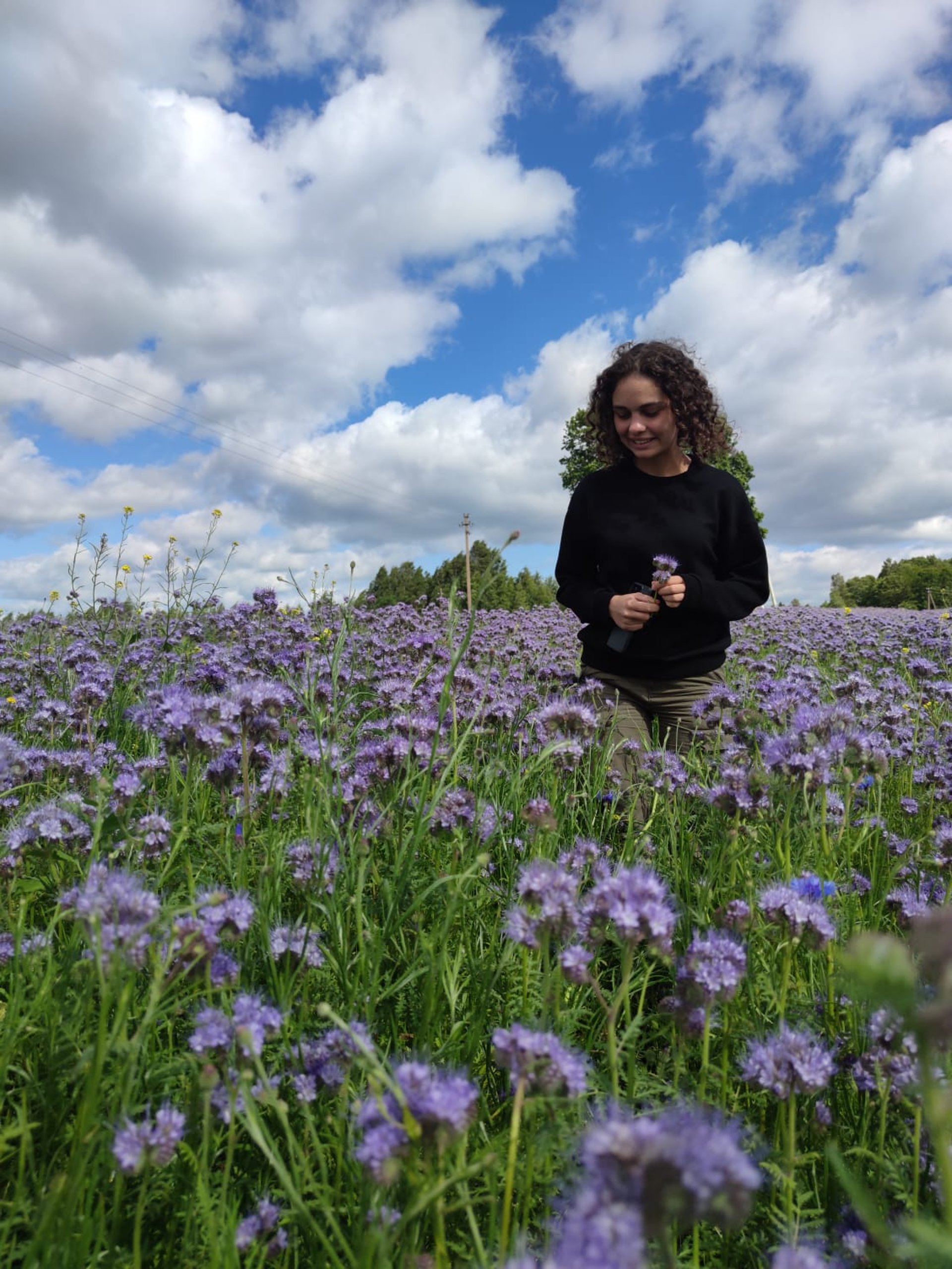 black and brown leather padded tub sofa