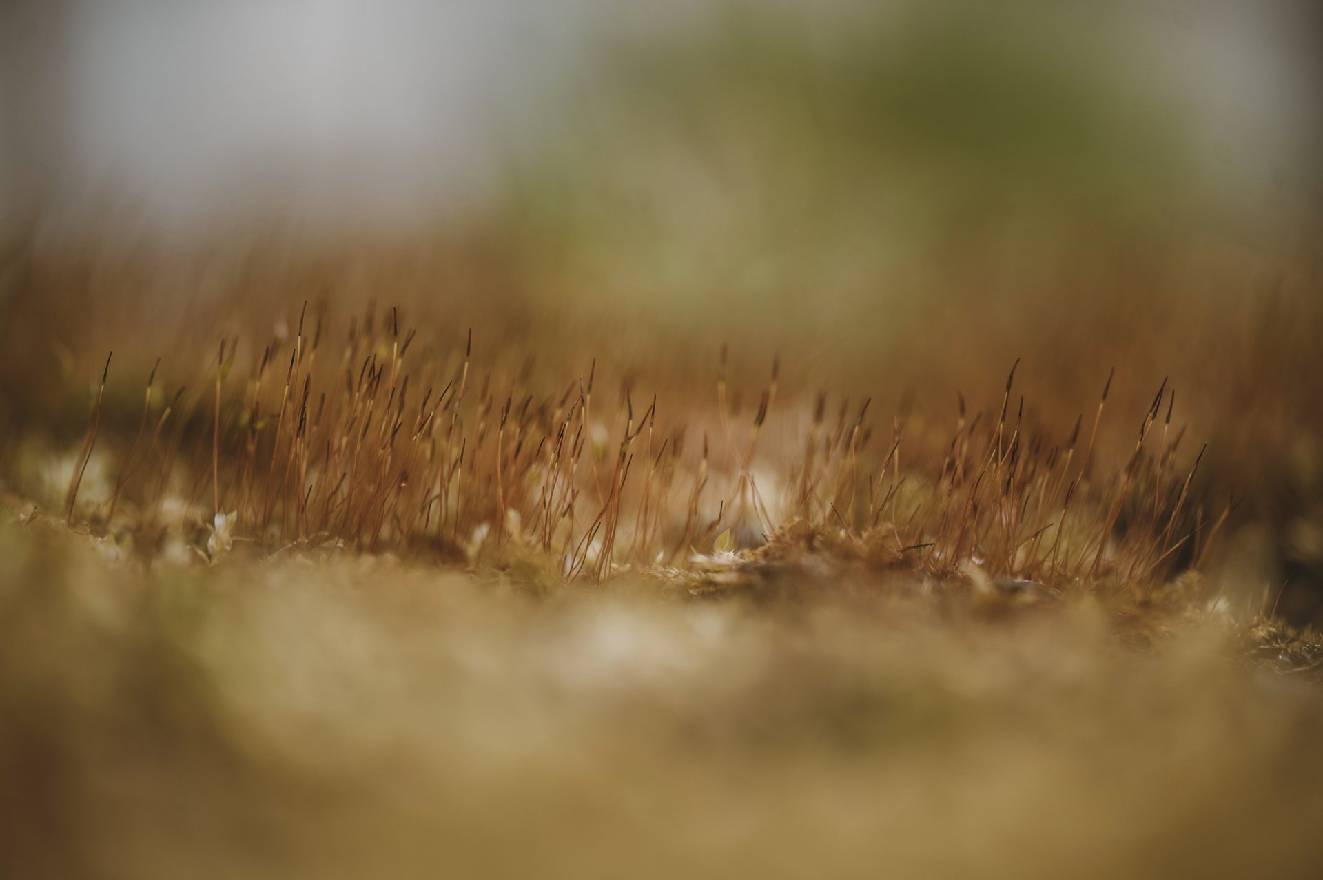 black nikon dslr camera on white printer paper