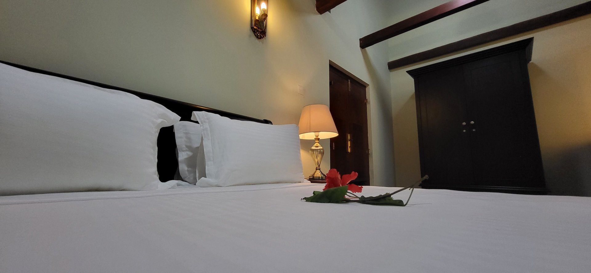 blue and yellow peacock