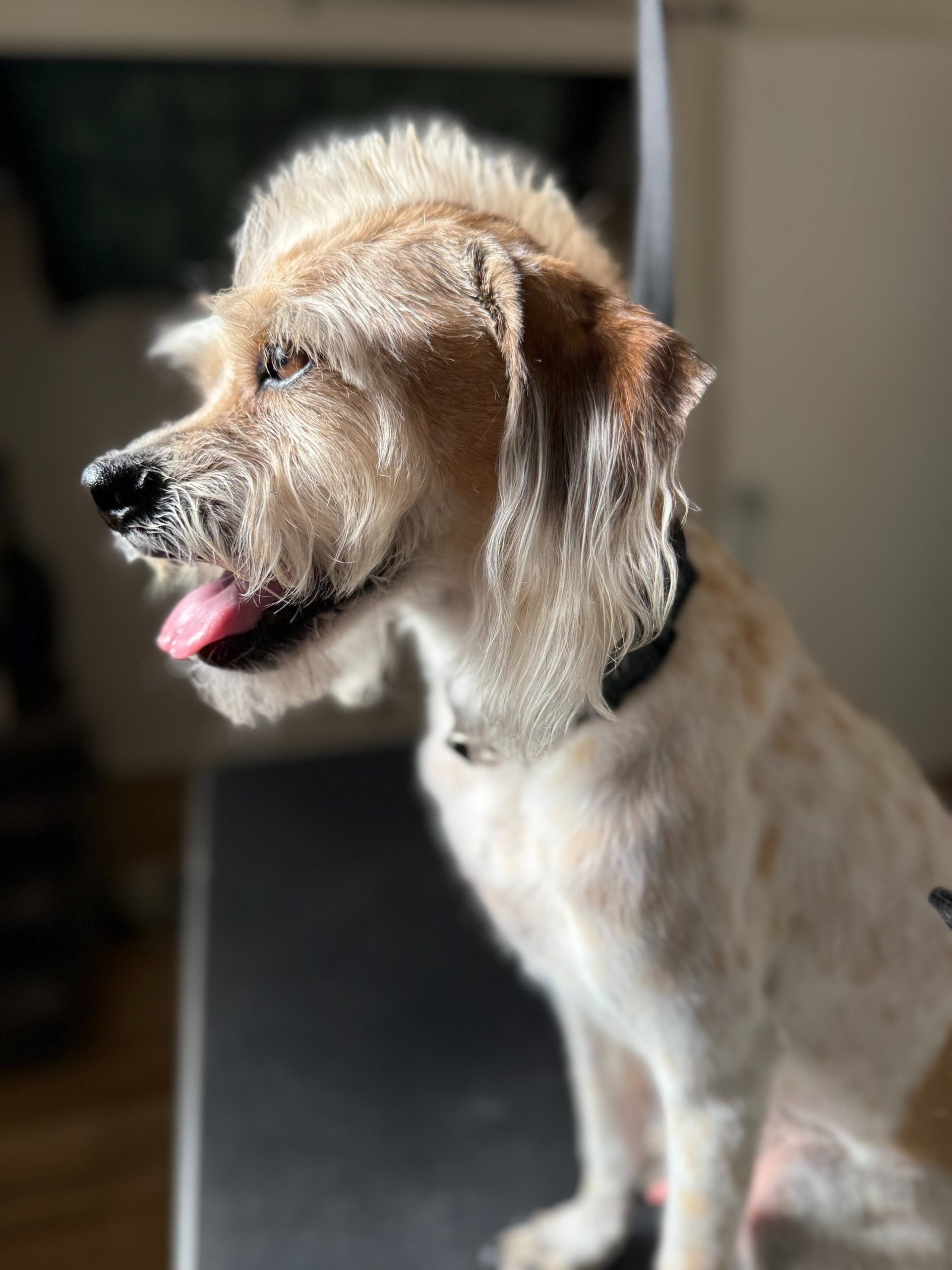 woman wearing yellow long-sleeved dress under white clouds and blue sky during daytime