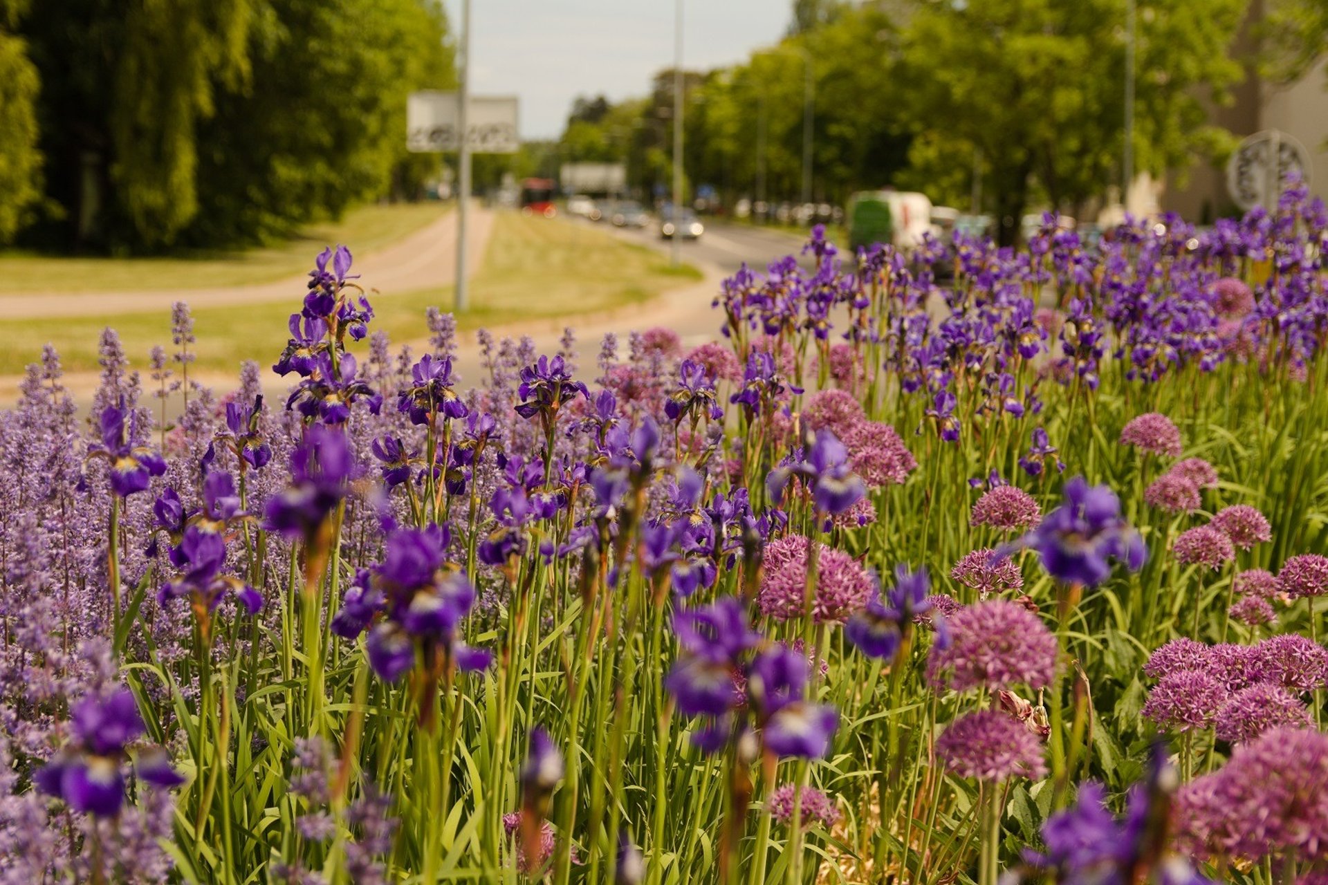 an abstract photo of a curved building with a blue sky in the background