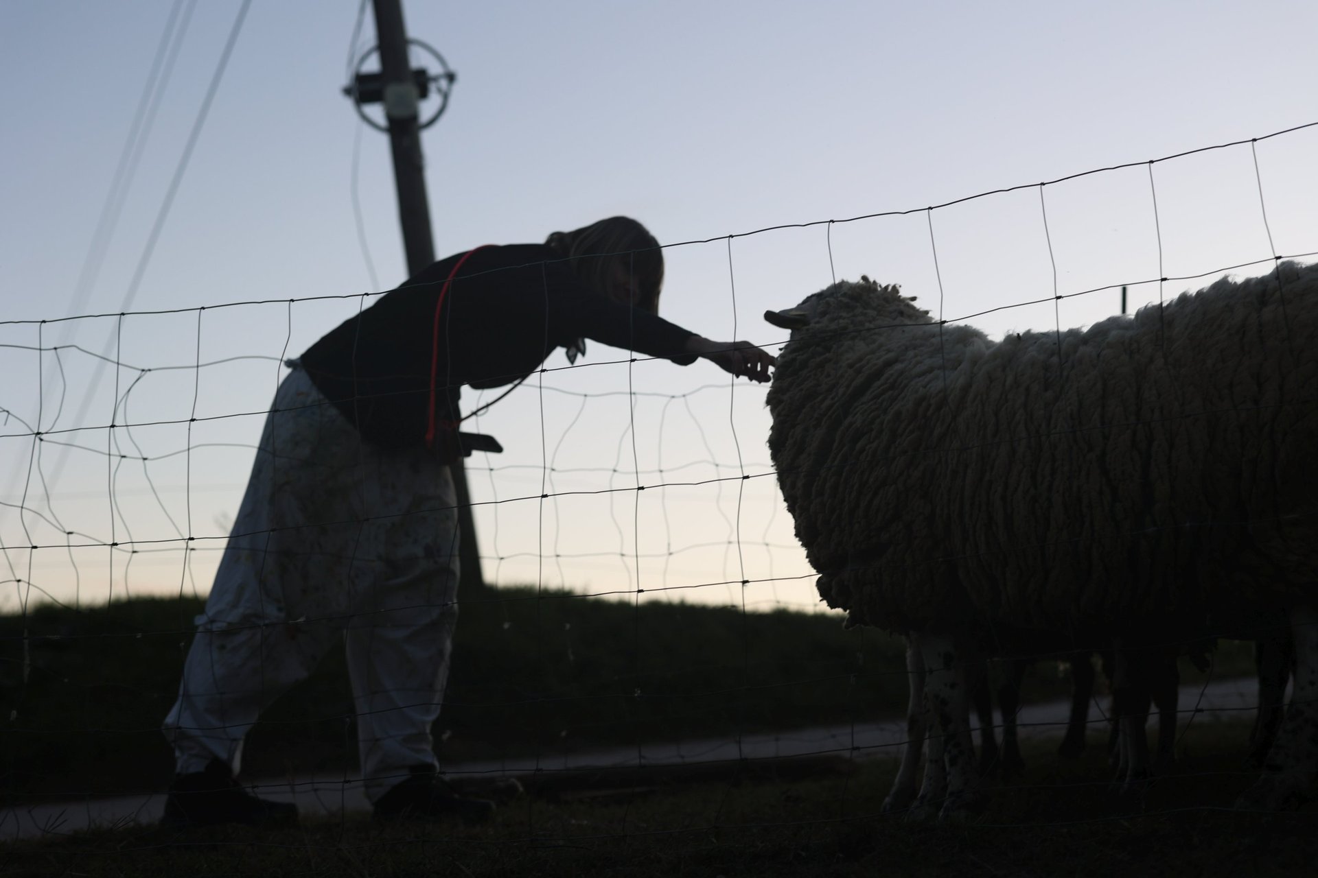black and white bed linen