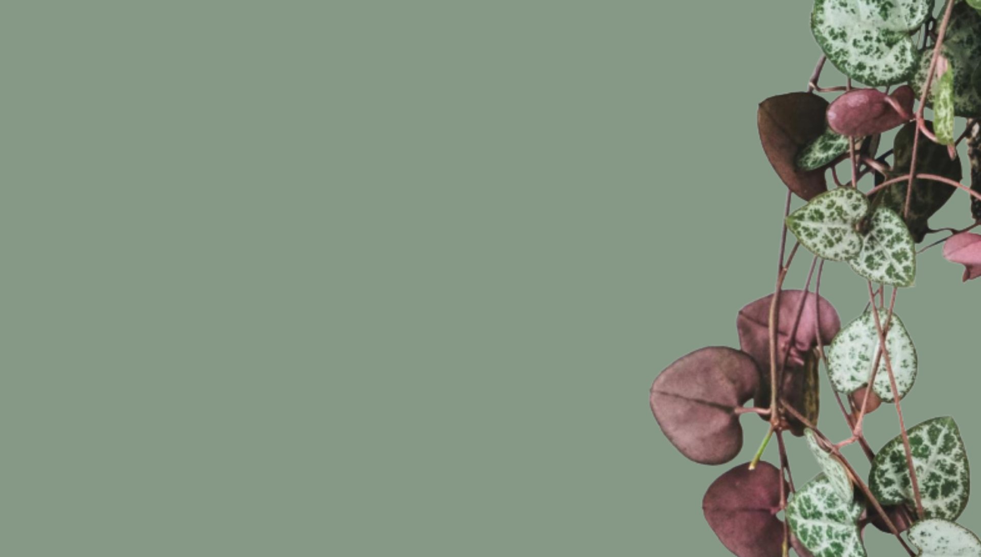 black and brown leather padded tub sofa