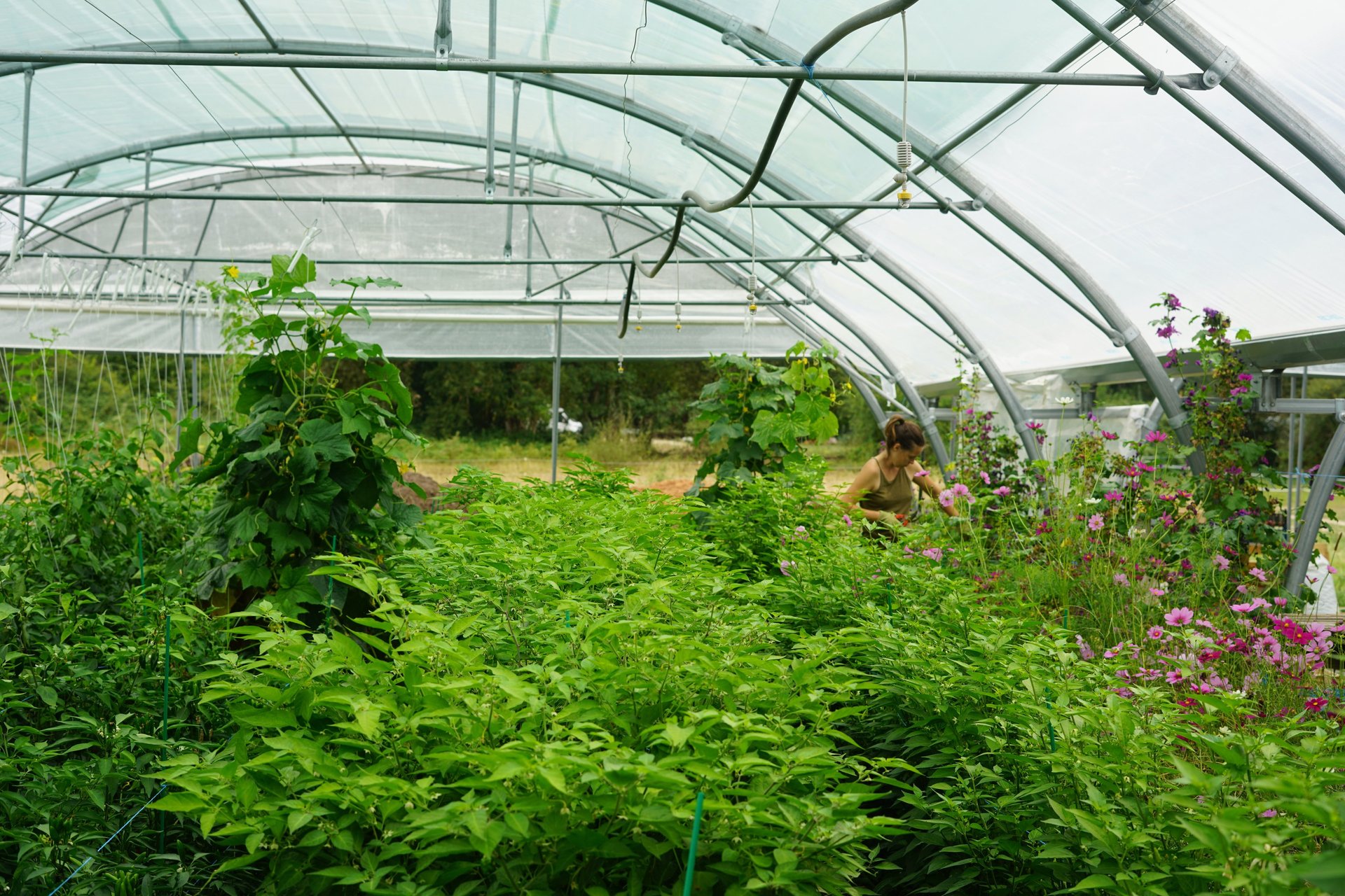 black blue and yellow textile