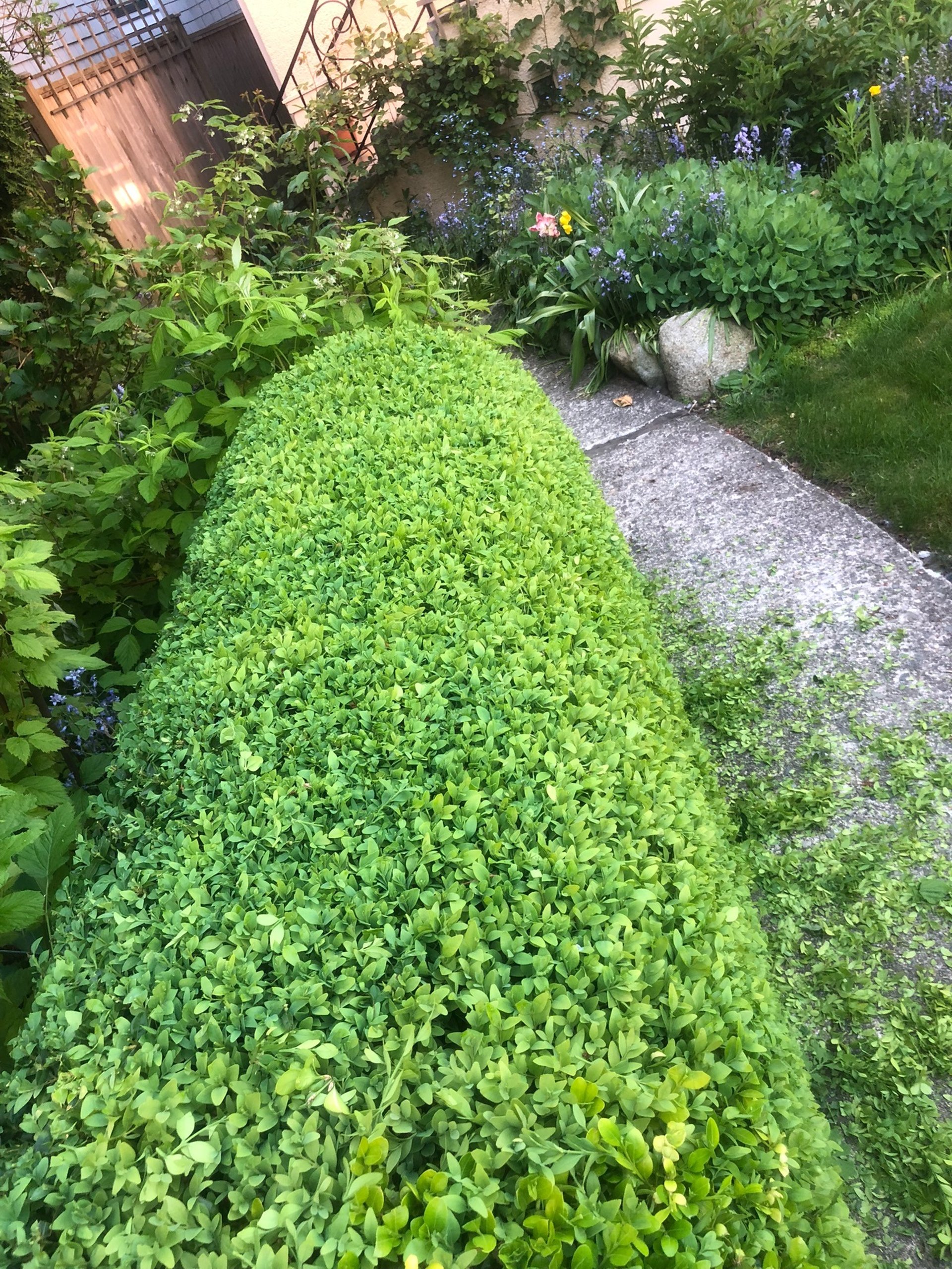 gray computer monitor