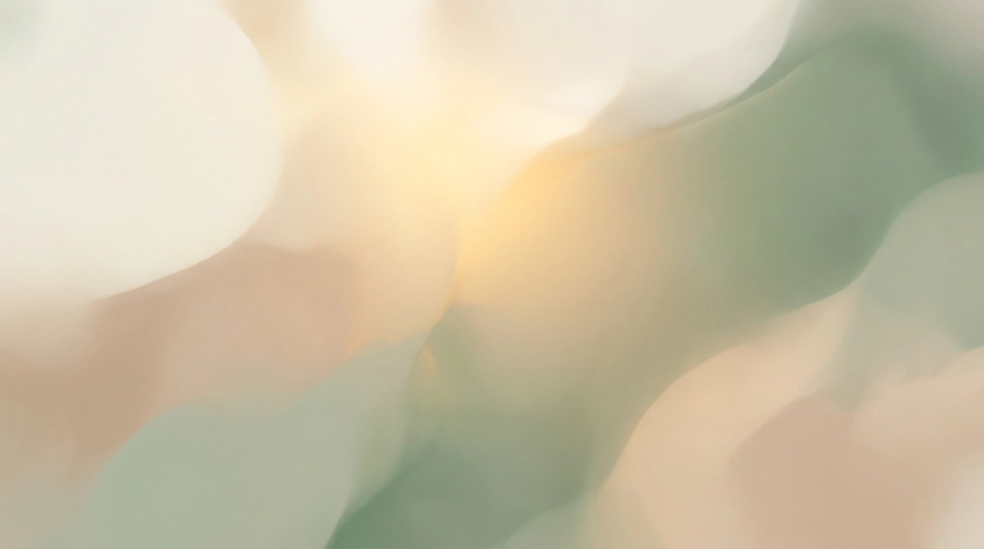 an abstract photo of a curved building with a blue sky in the background
