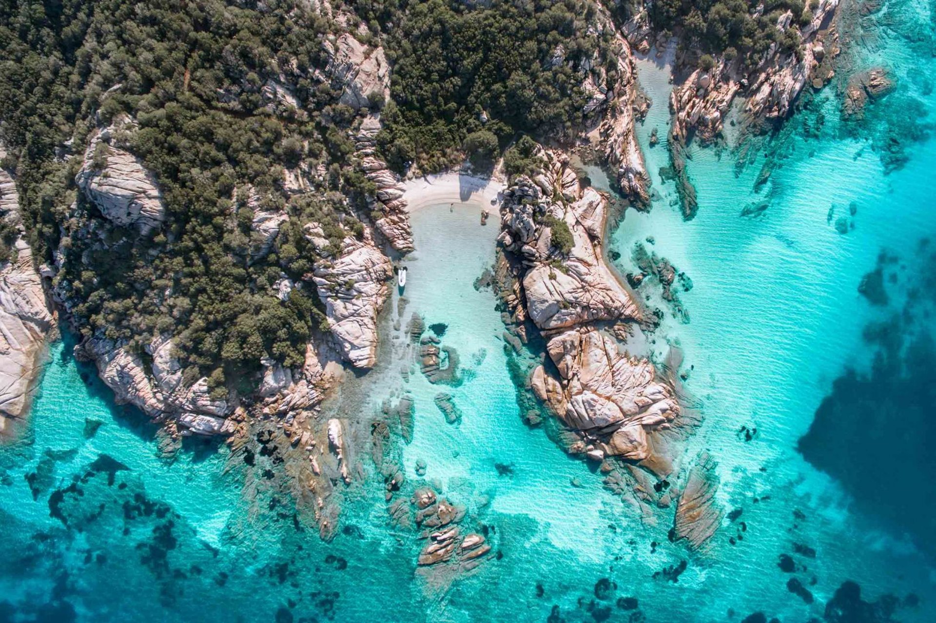 body of water near trees