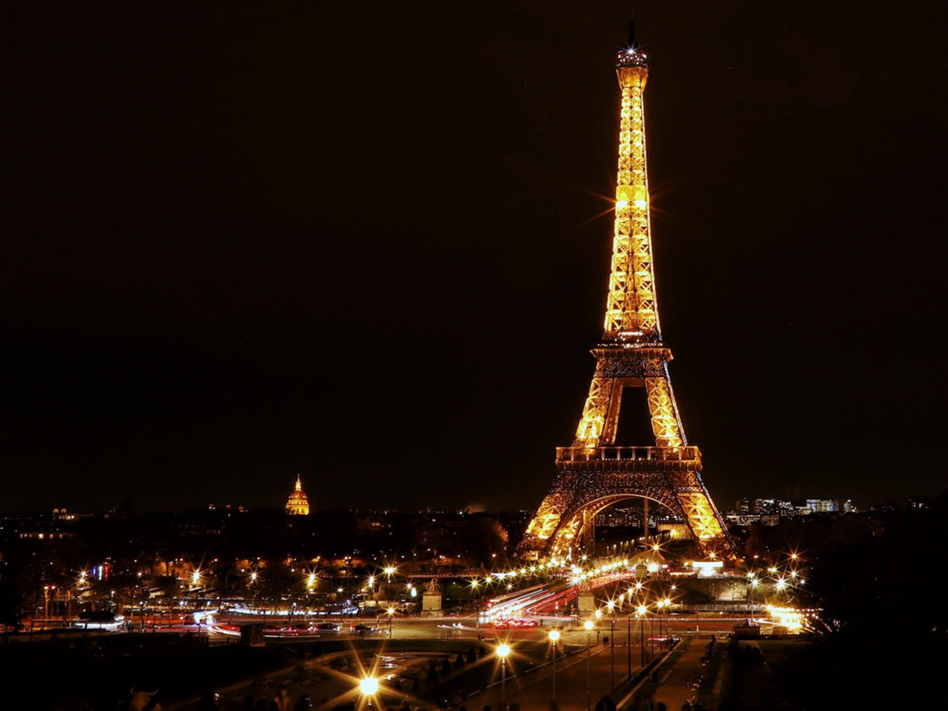 green leafed plant on wall