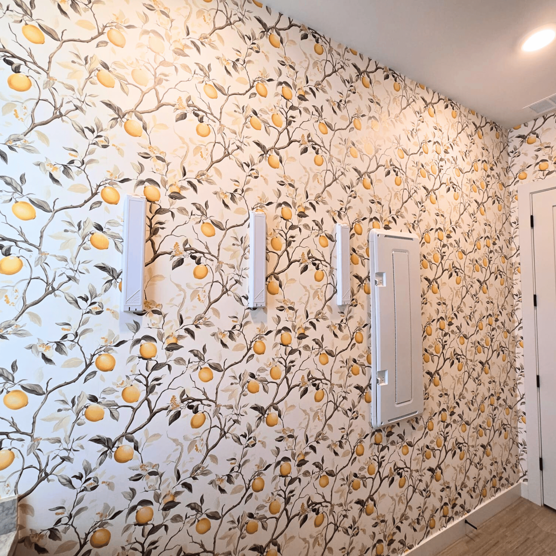Smooth Roman clay accent wall with a soft, textured finish, adding depth and warmth to a modern interior.
