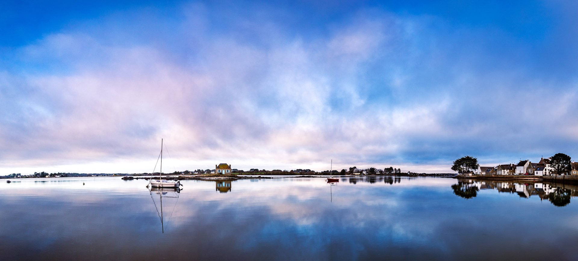 woman holding dried flower