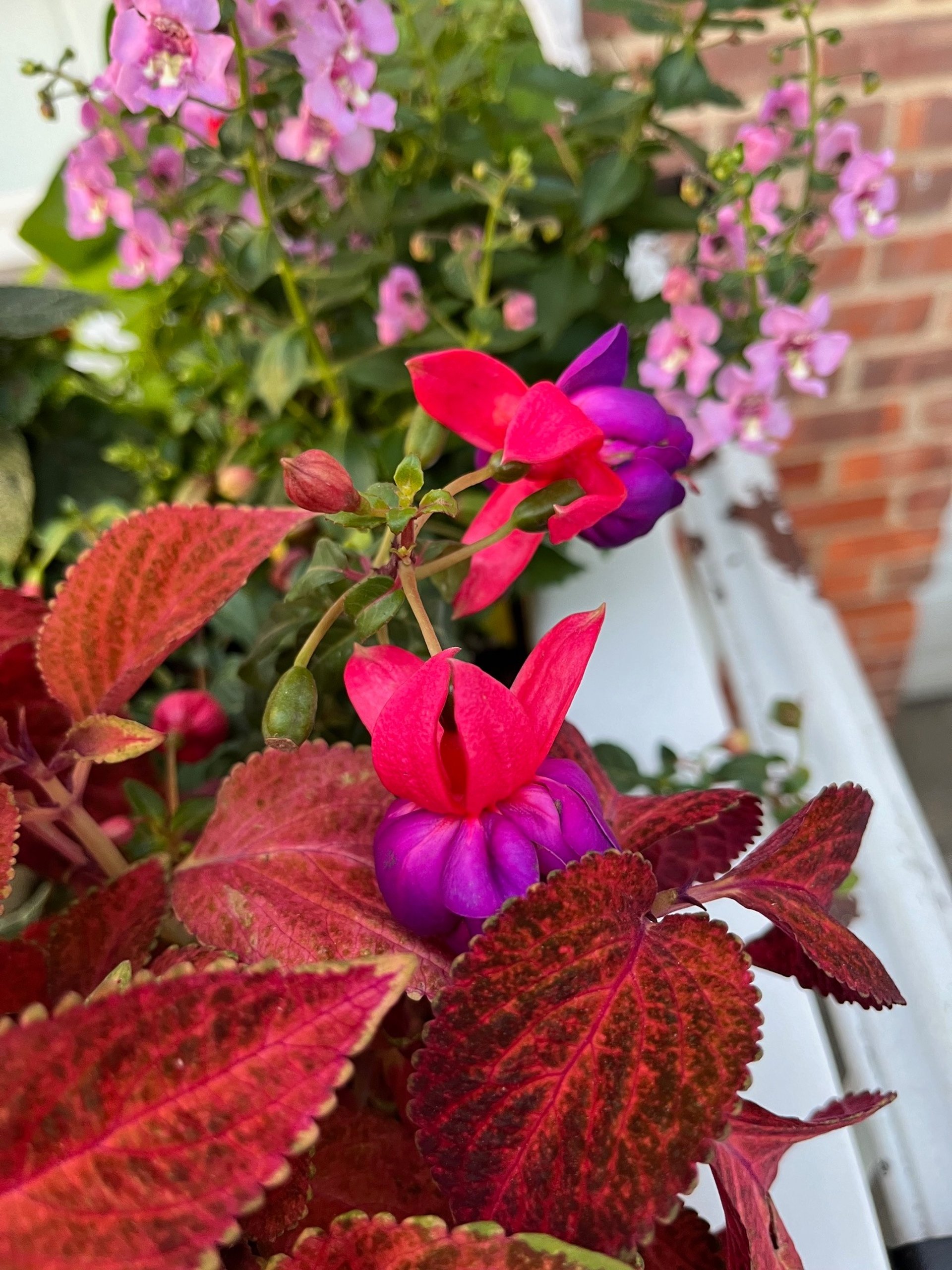black blue and yellow textile