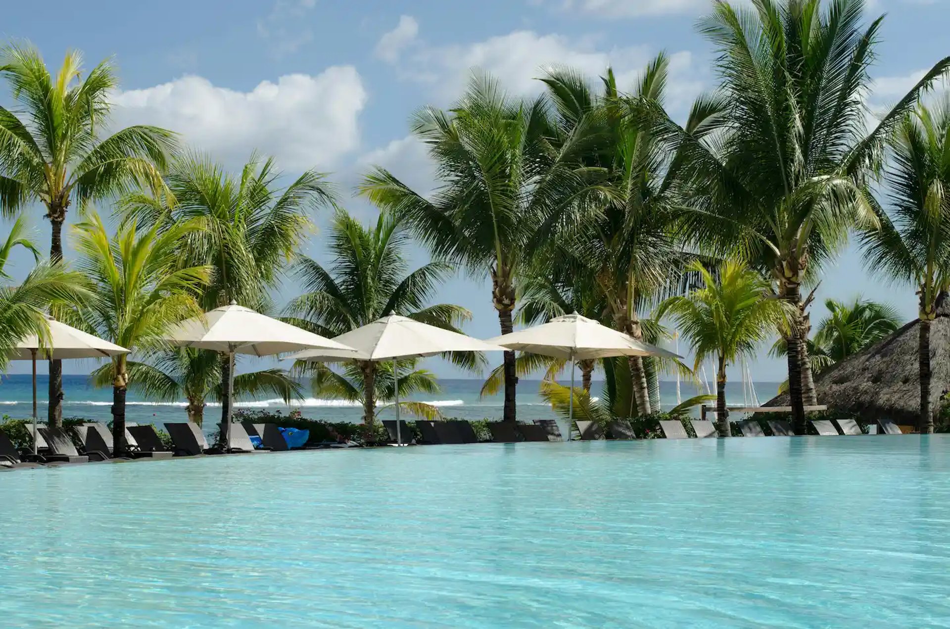 photo of brown bench near swimming pool
