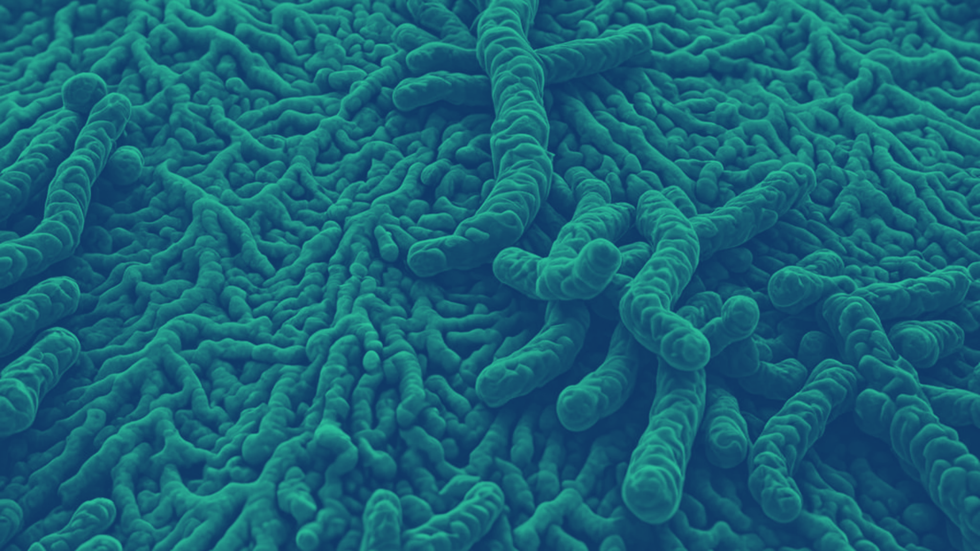 gray computer monitor