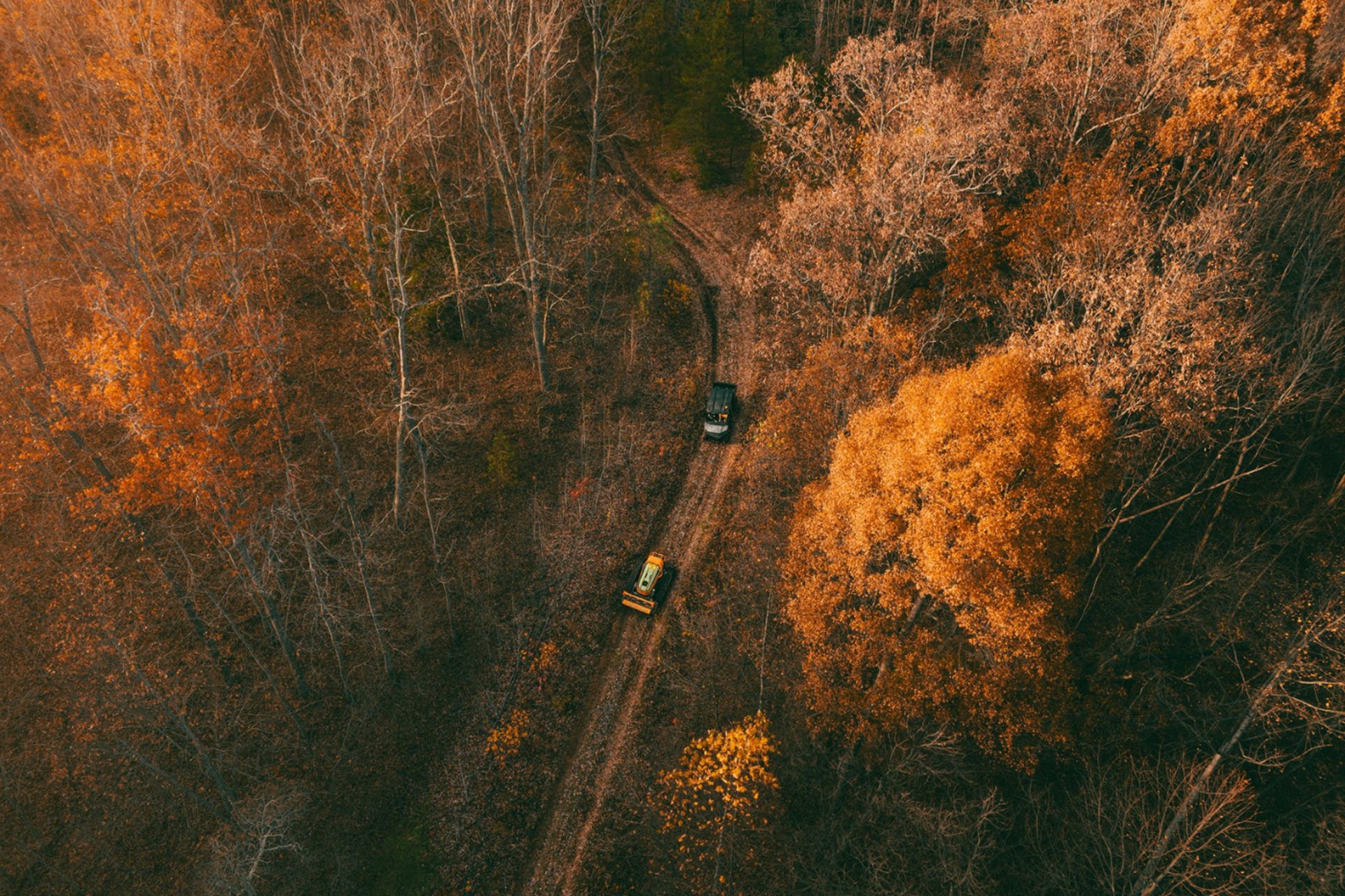 black and brown leather padded tub sofa