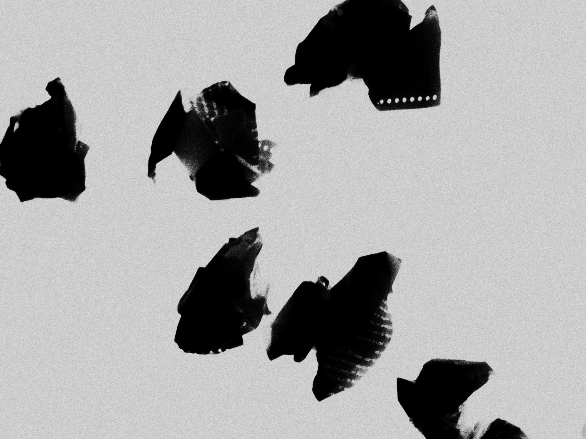 black and white bed linen