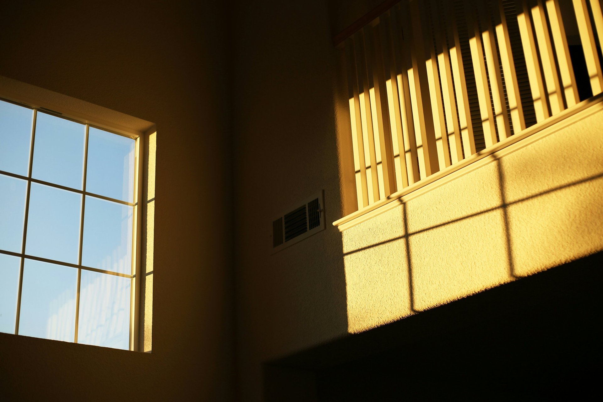 silhouette of people standing on highland during golden hours