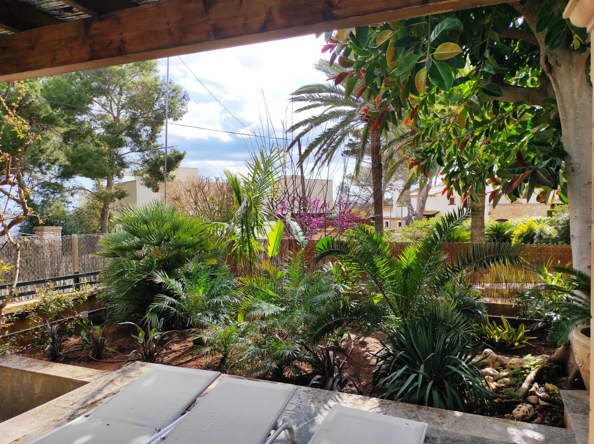 single perspective of pathway leading to house