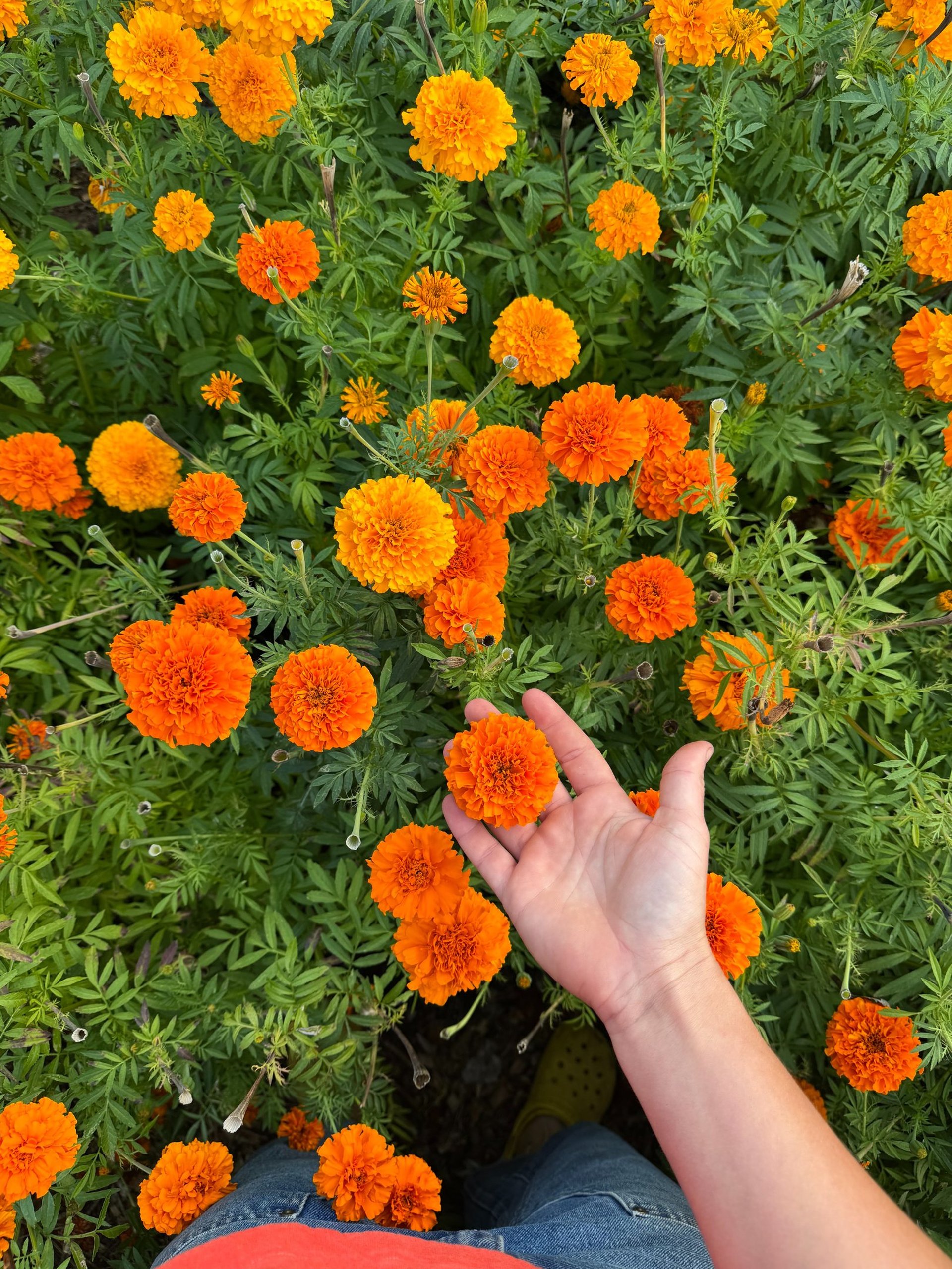 person wearing grey knit sweater