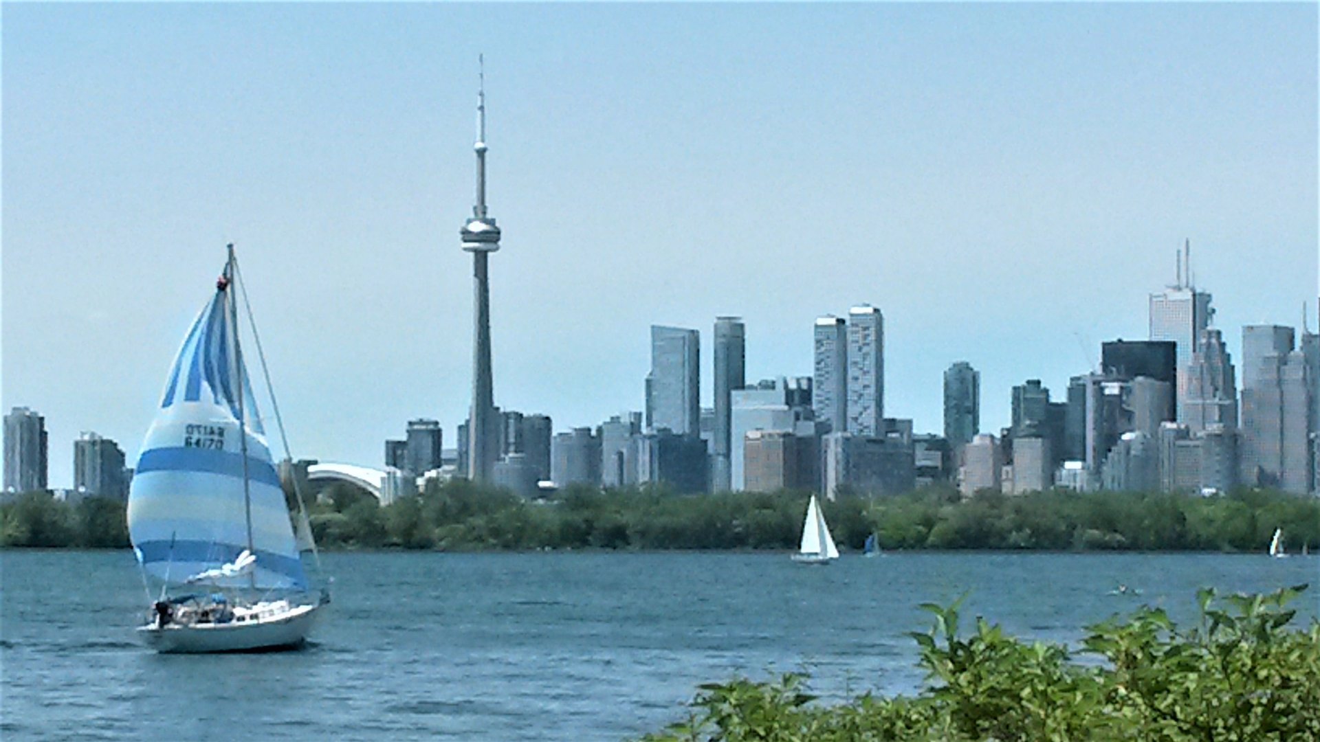 Toronto harbour from Leslie Spit