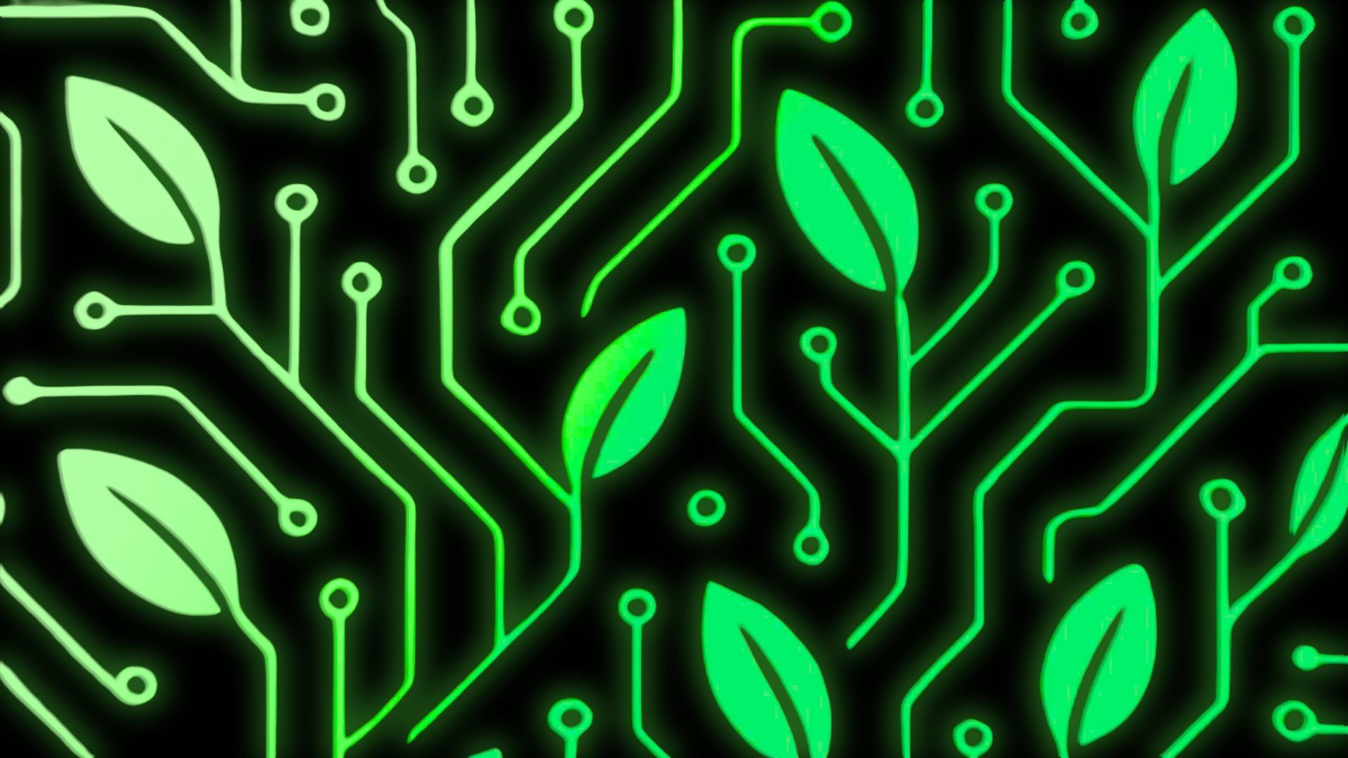 green grass field during daytime