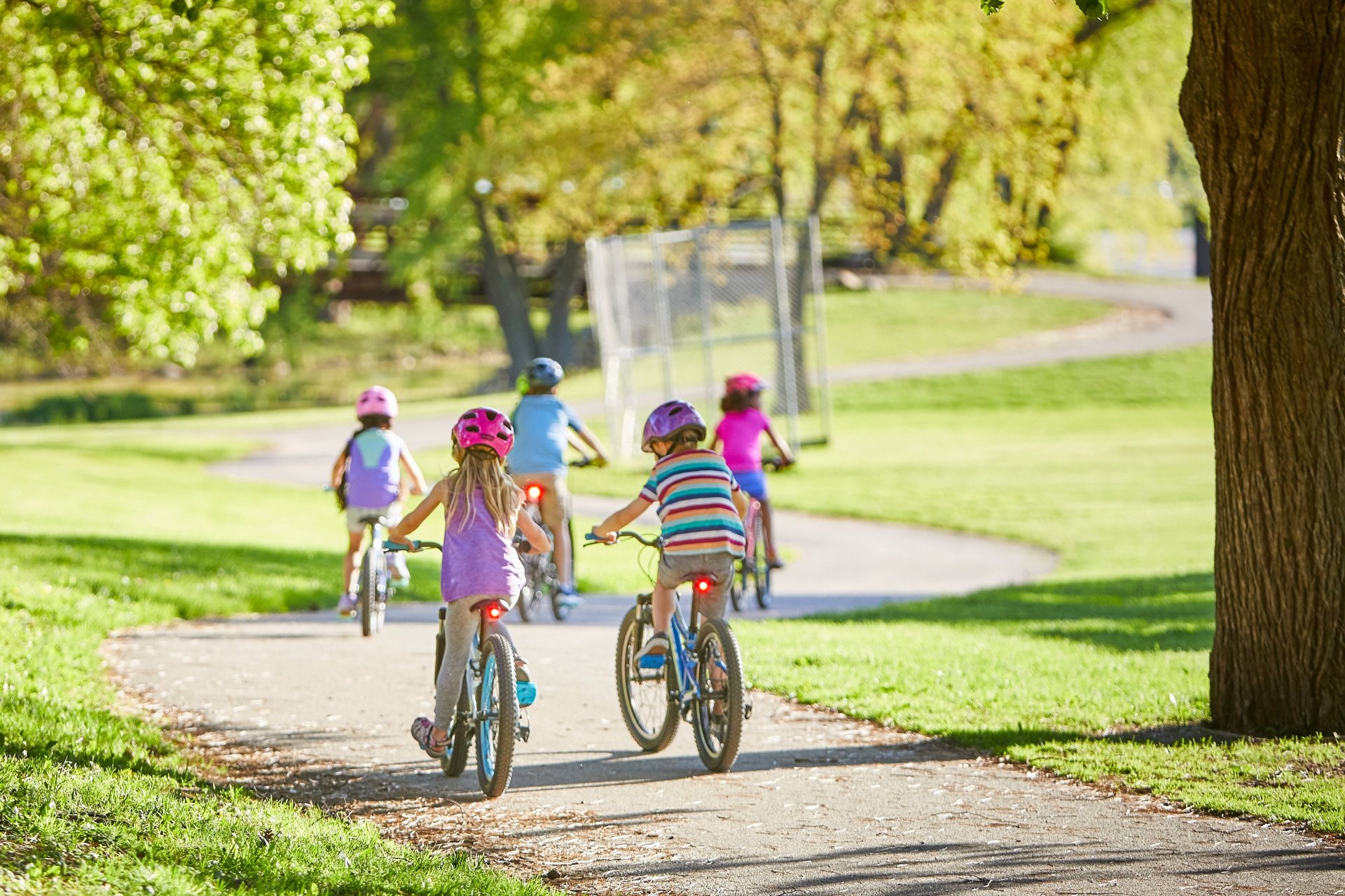 an abstract photo of a curved building with a blue sky in the background