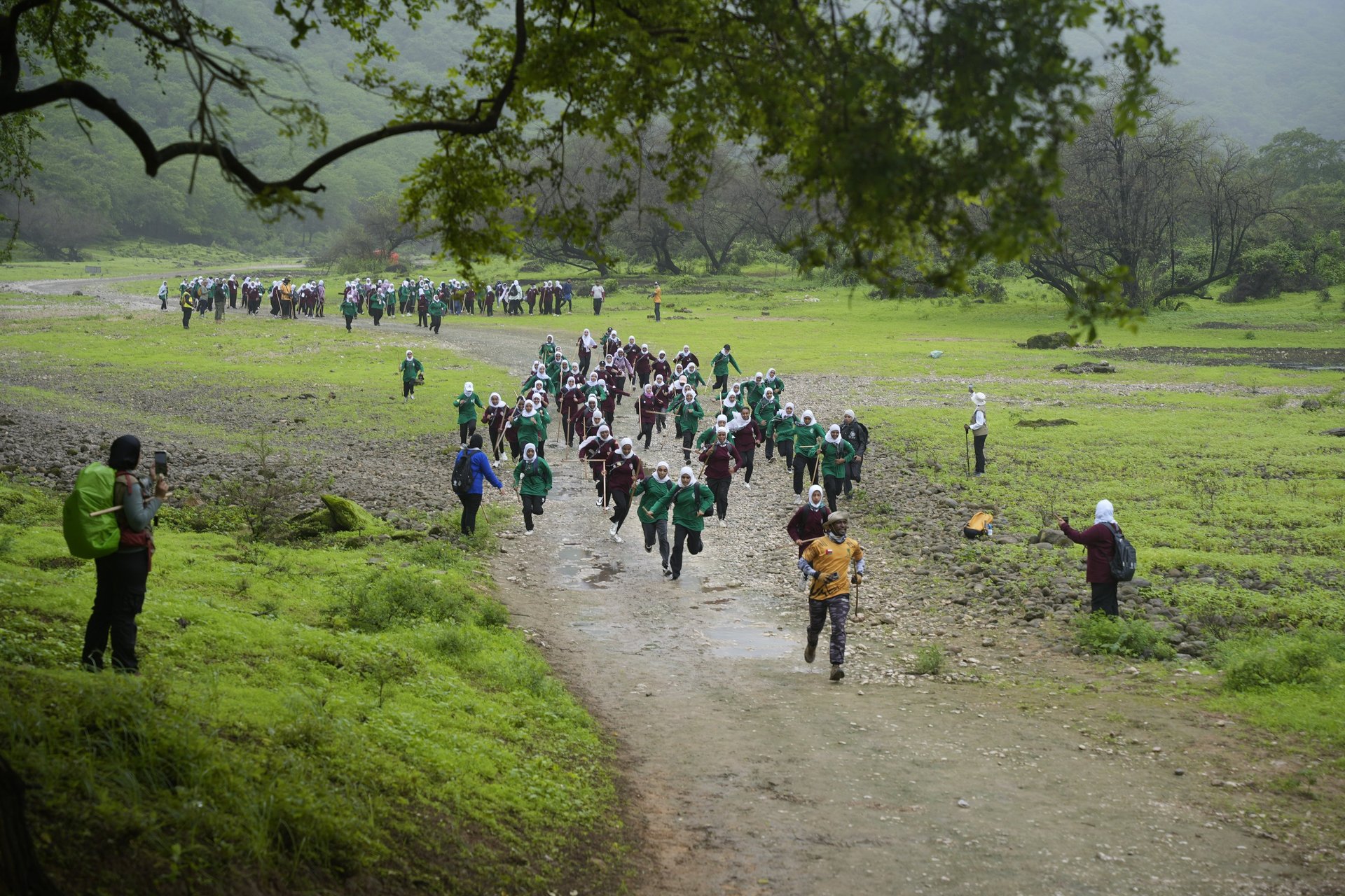 brown concrete building under starry night