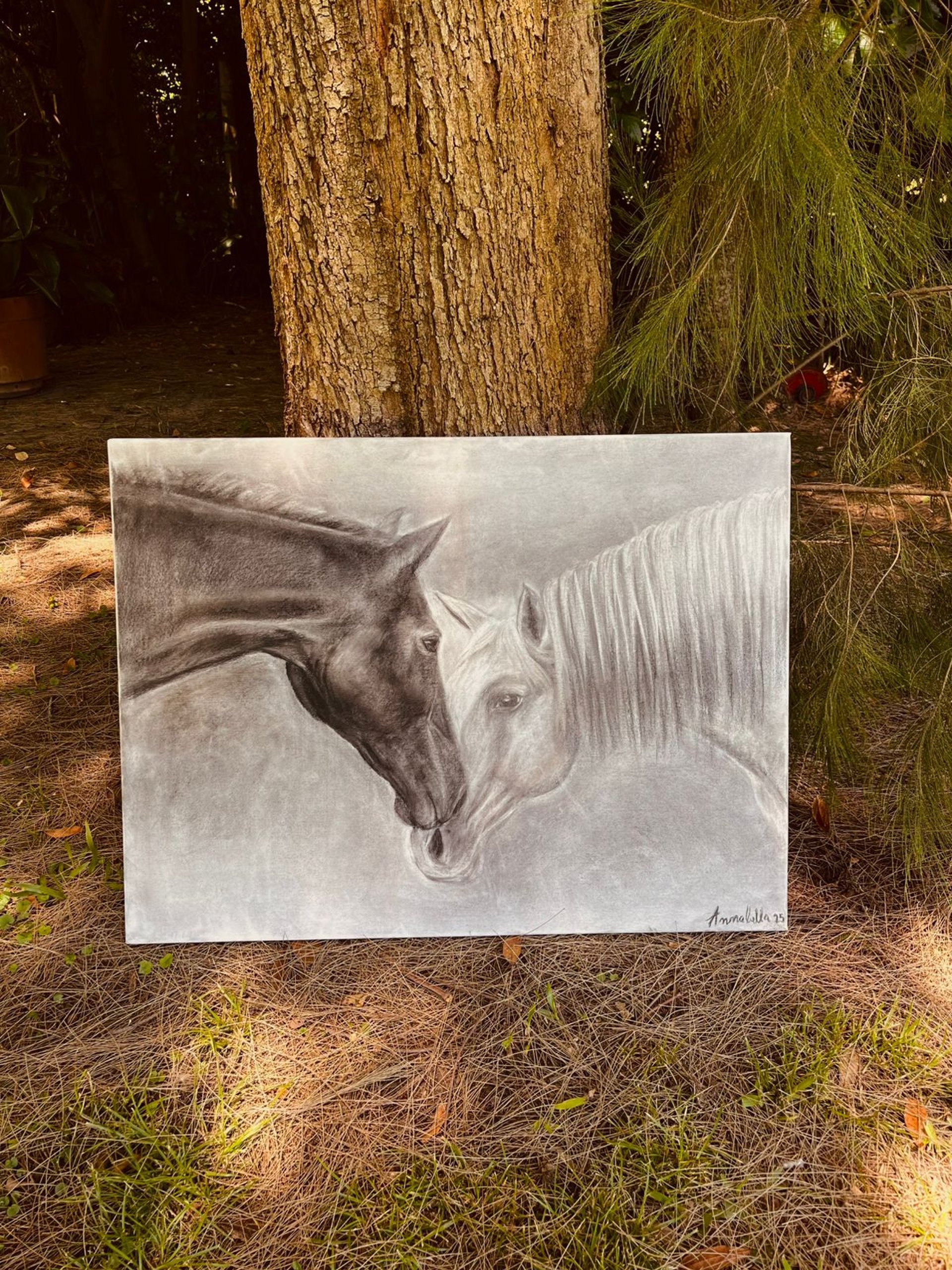 woman holding dried flower