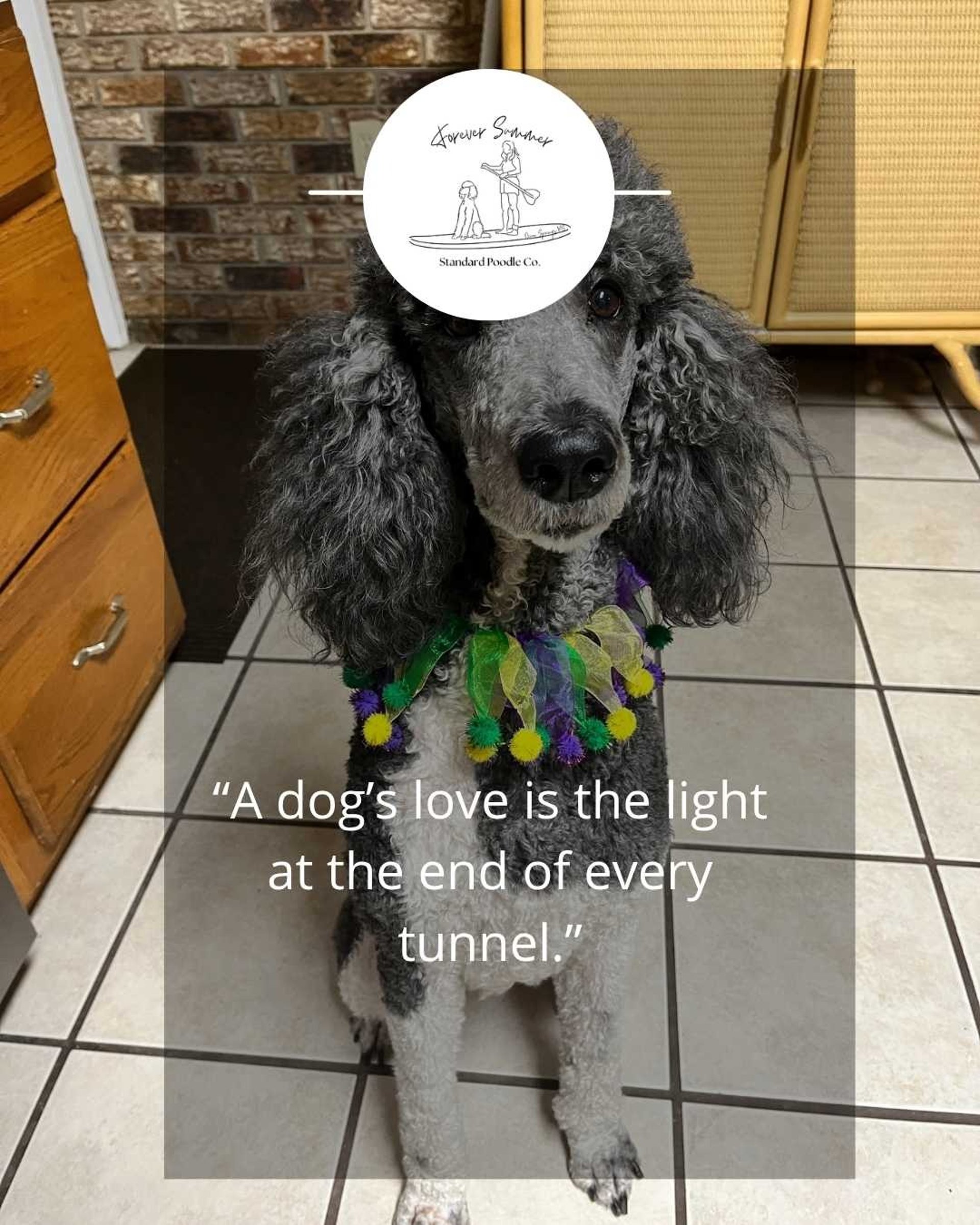 gray computer monitor