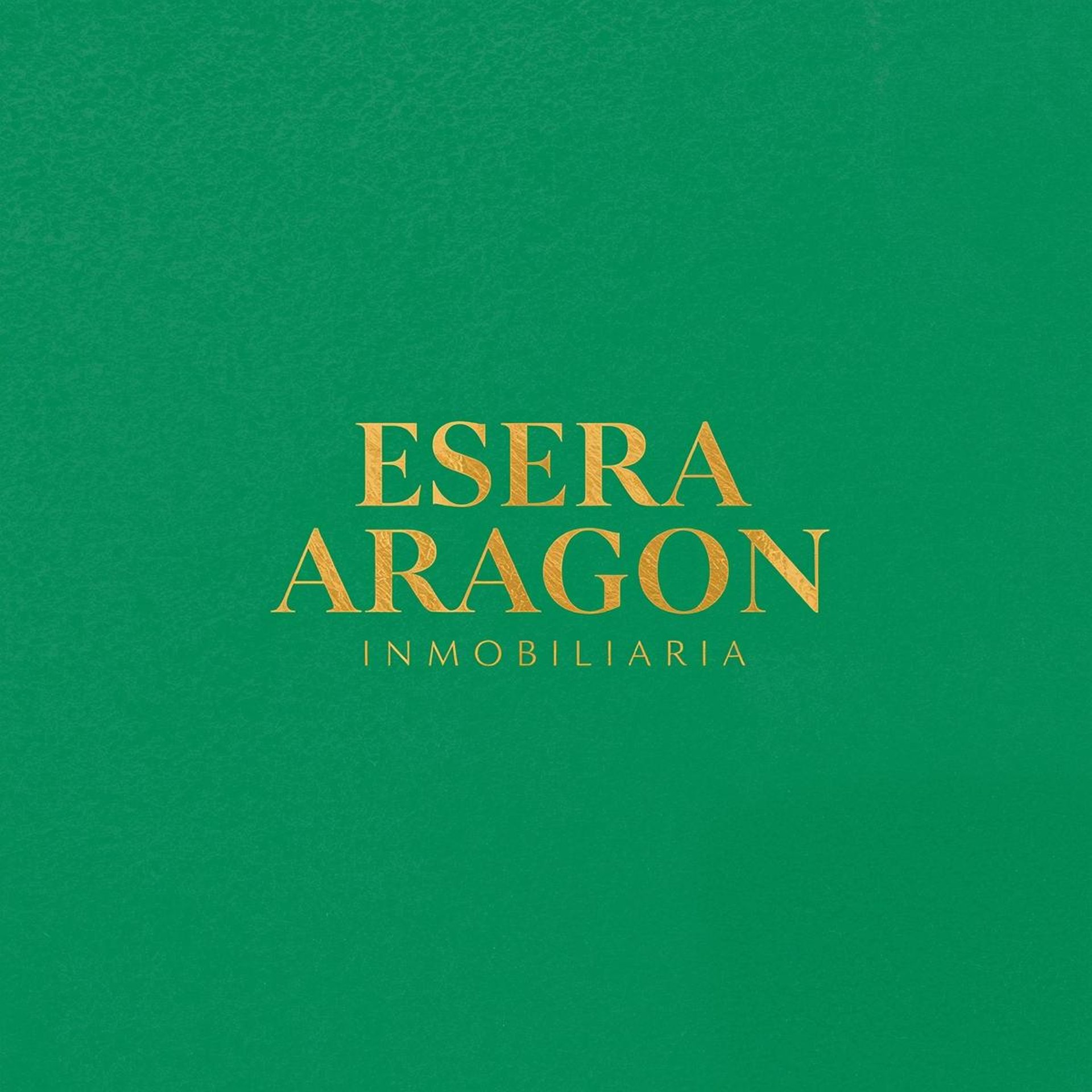 gray computer monitor