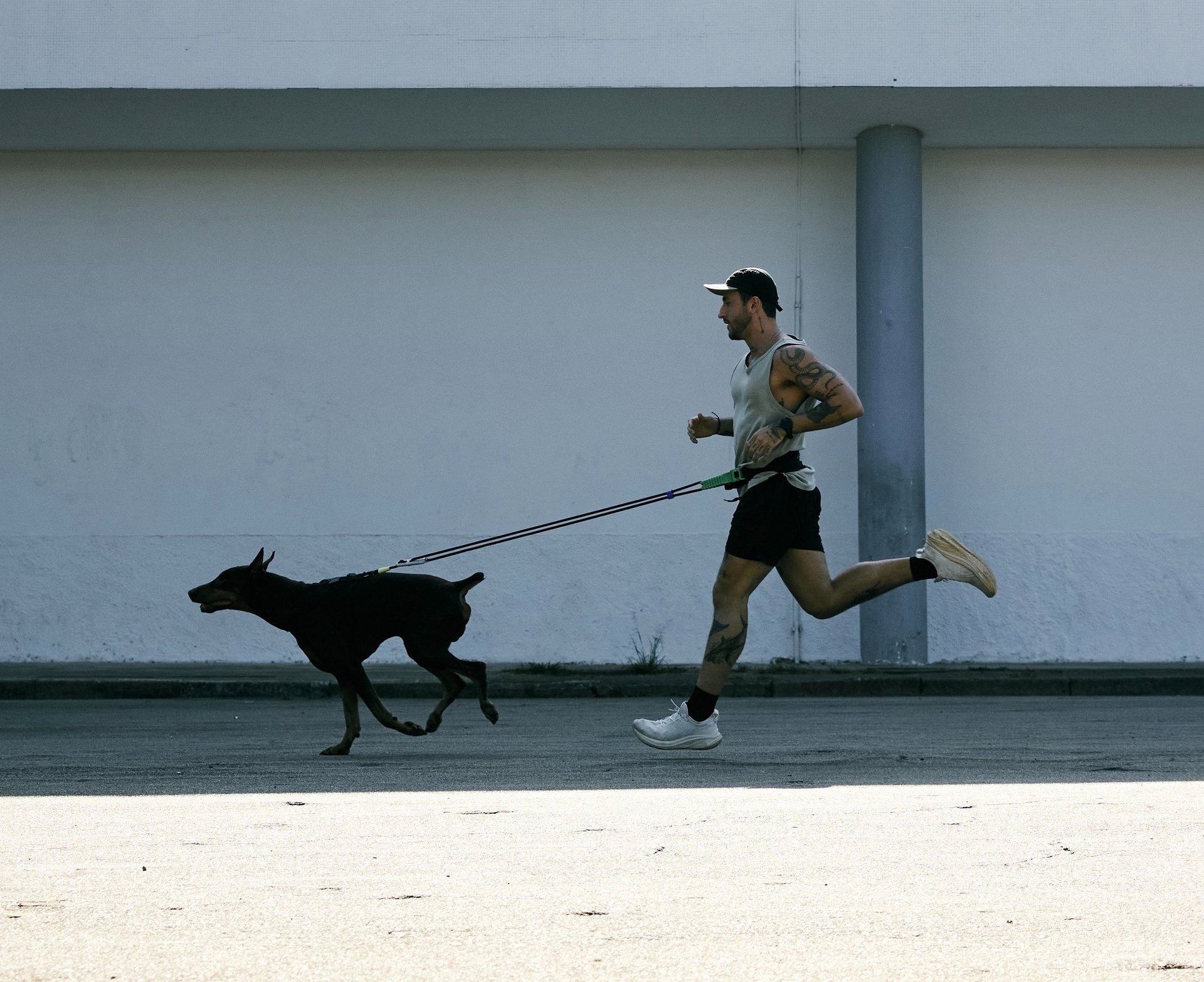 black and white bed linen