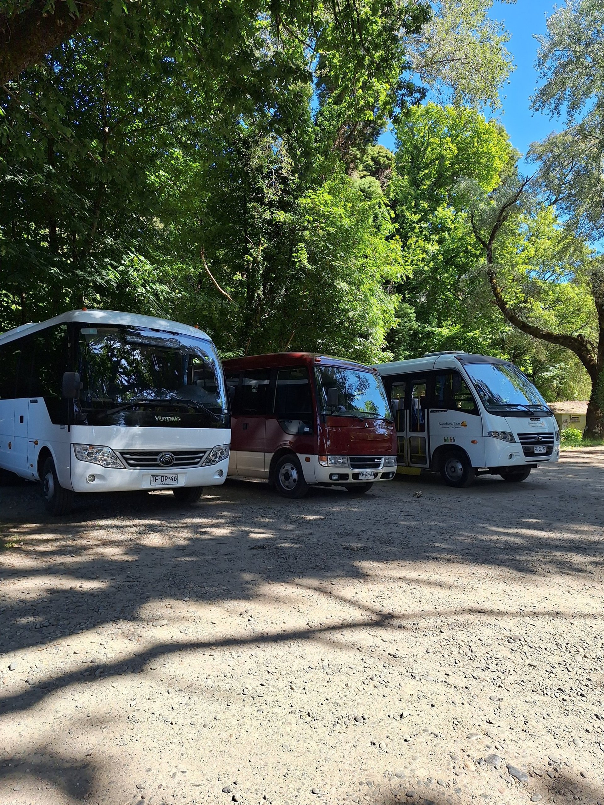 a group of buses parked next to each other