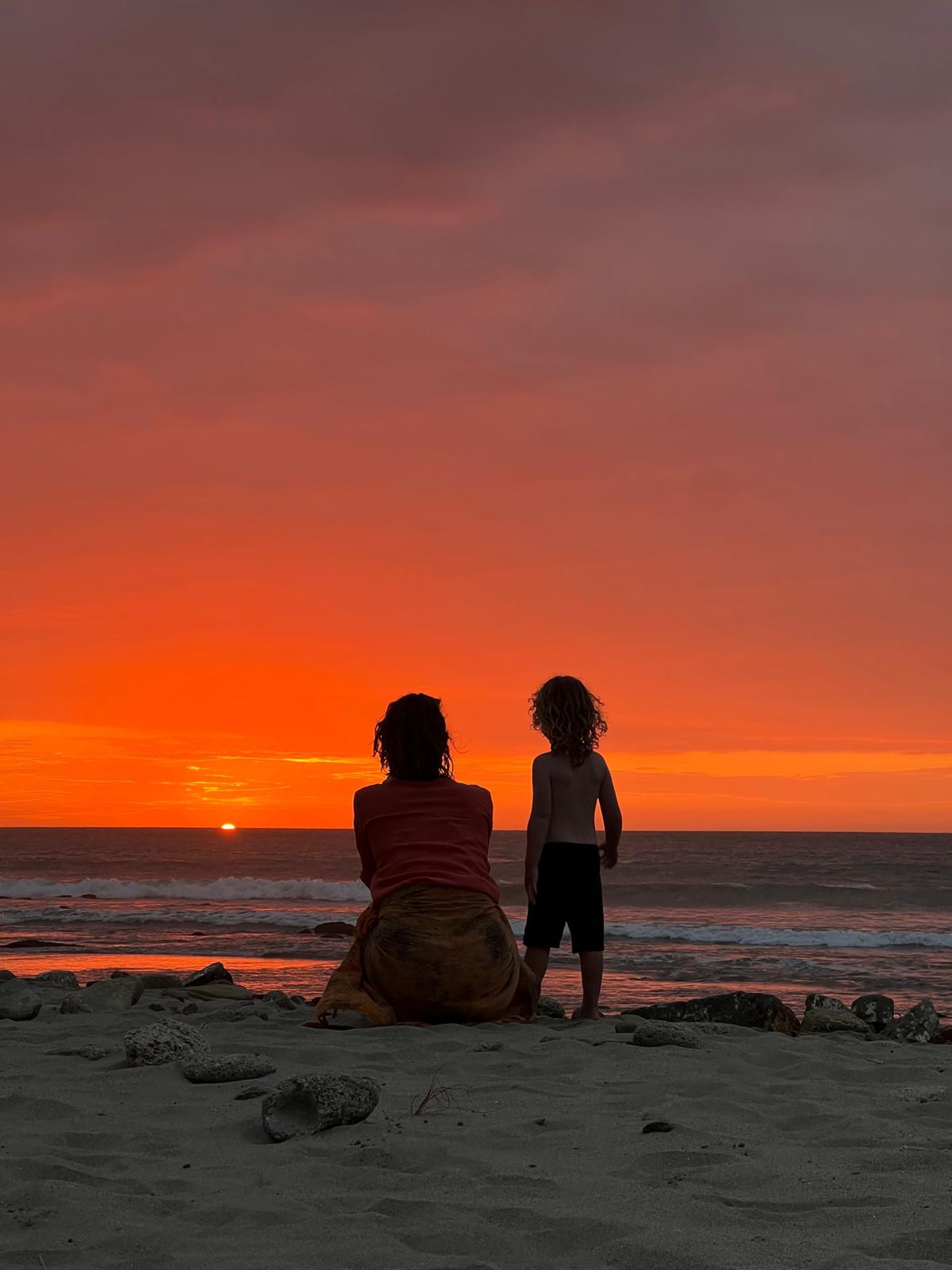 yellow sunflower field during daytime