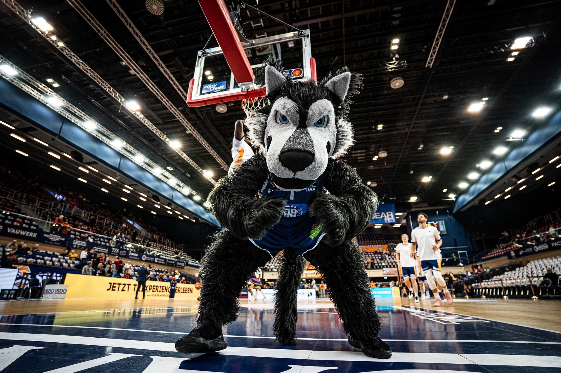 black blue and yellow textile