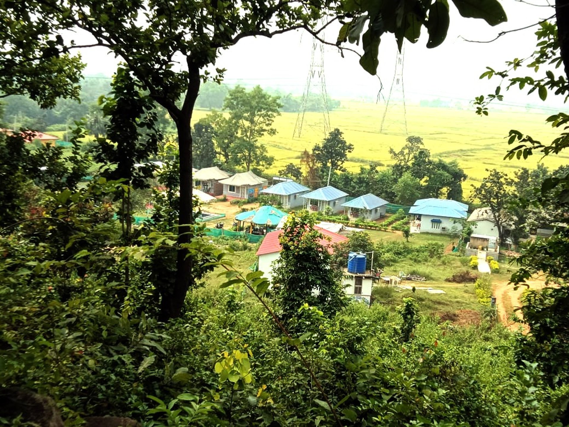 woman wearing yellow long-sleeved dress under white clouds and blue sky during daytime