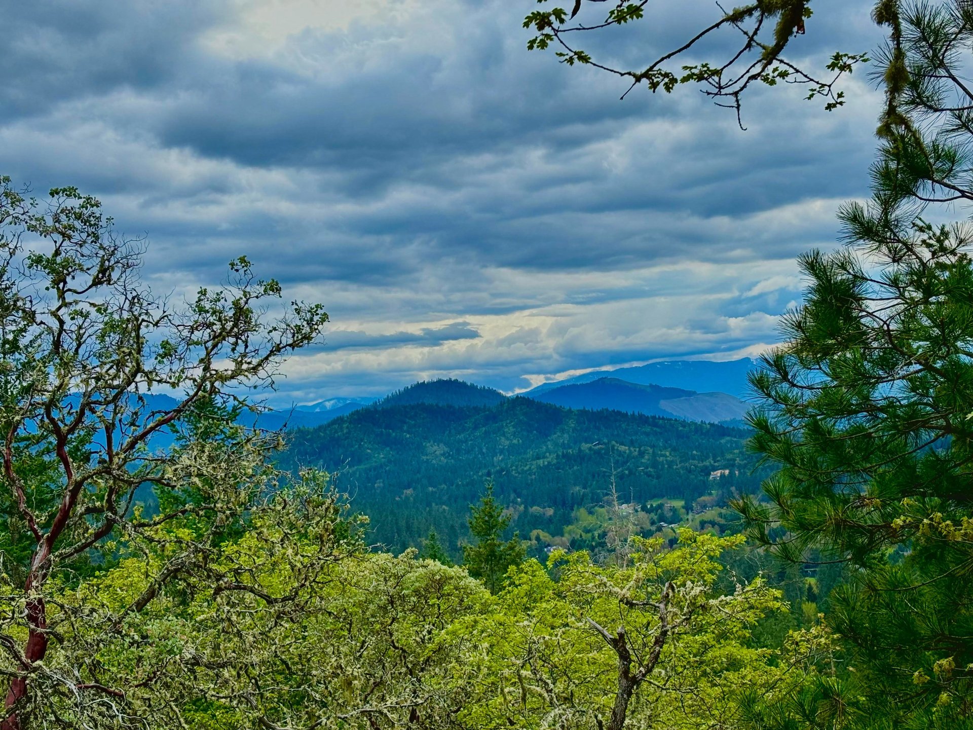 black and white bed linen