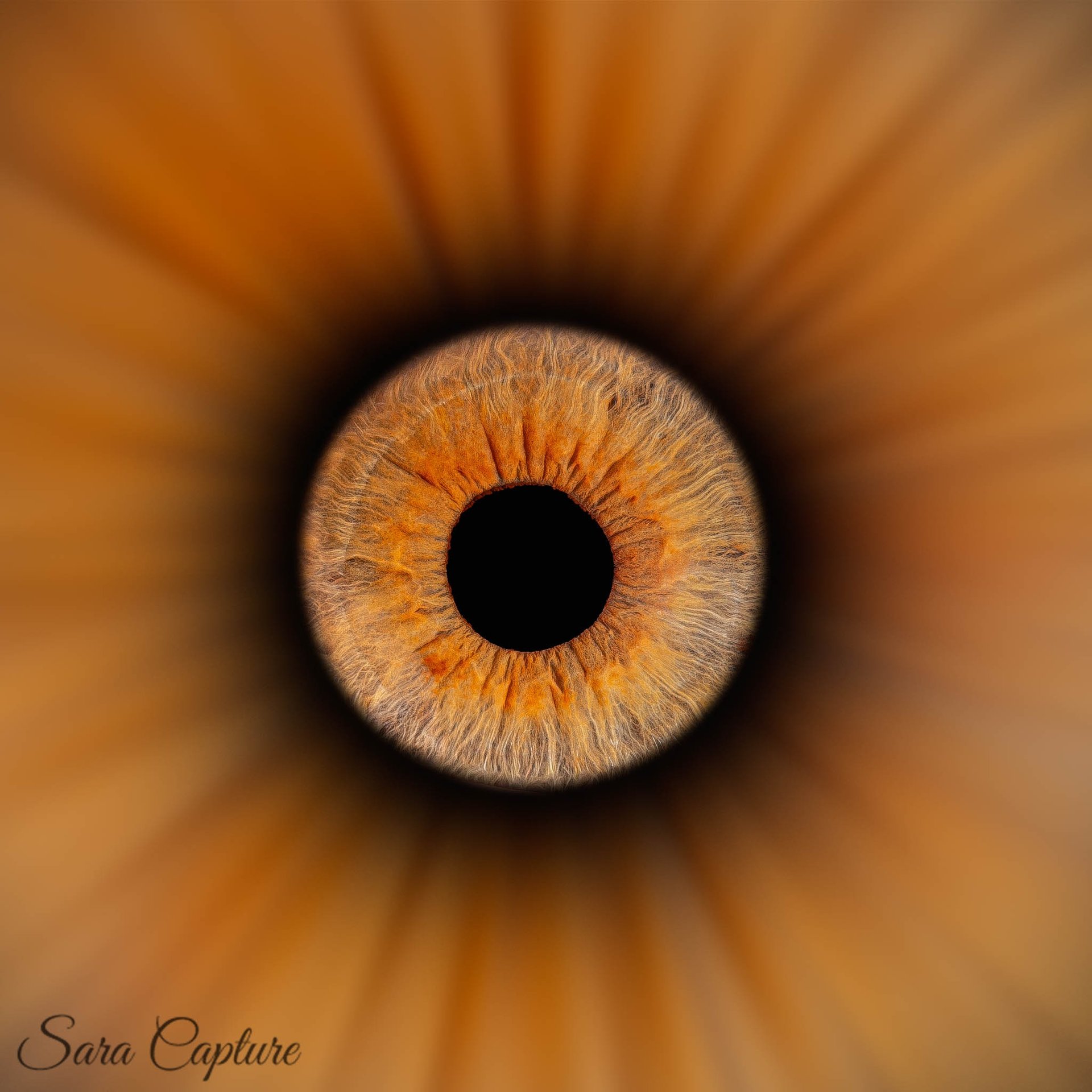 an abstract photo of a curved building with a blue sky in the background