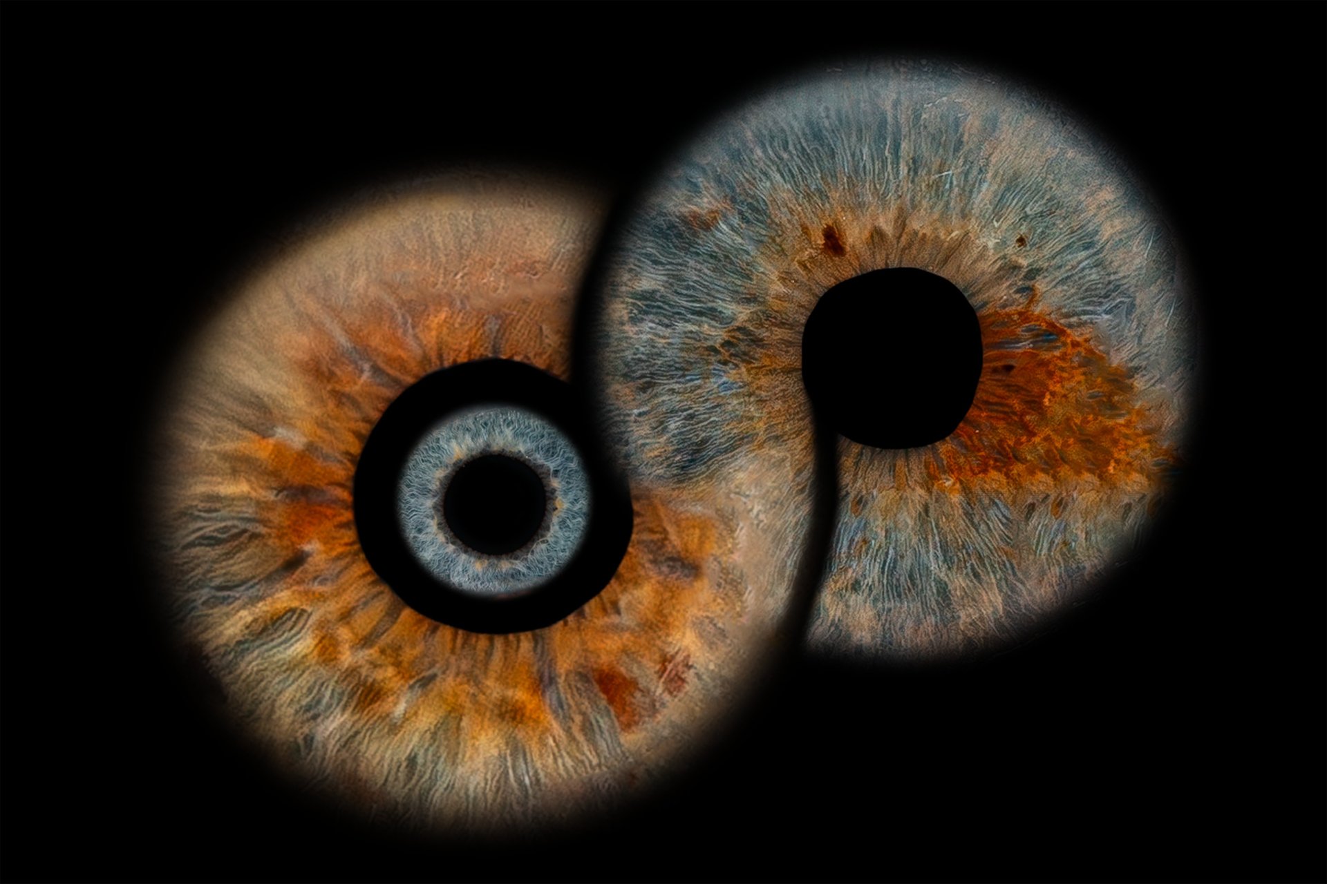 an abstract photo of a curved building with a blue sky in the background