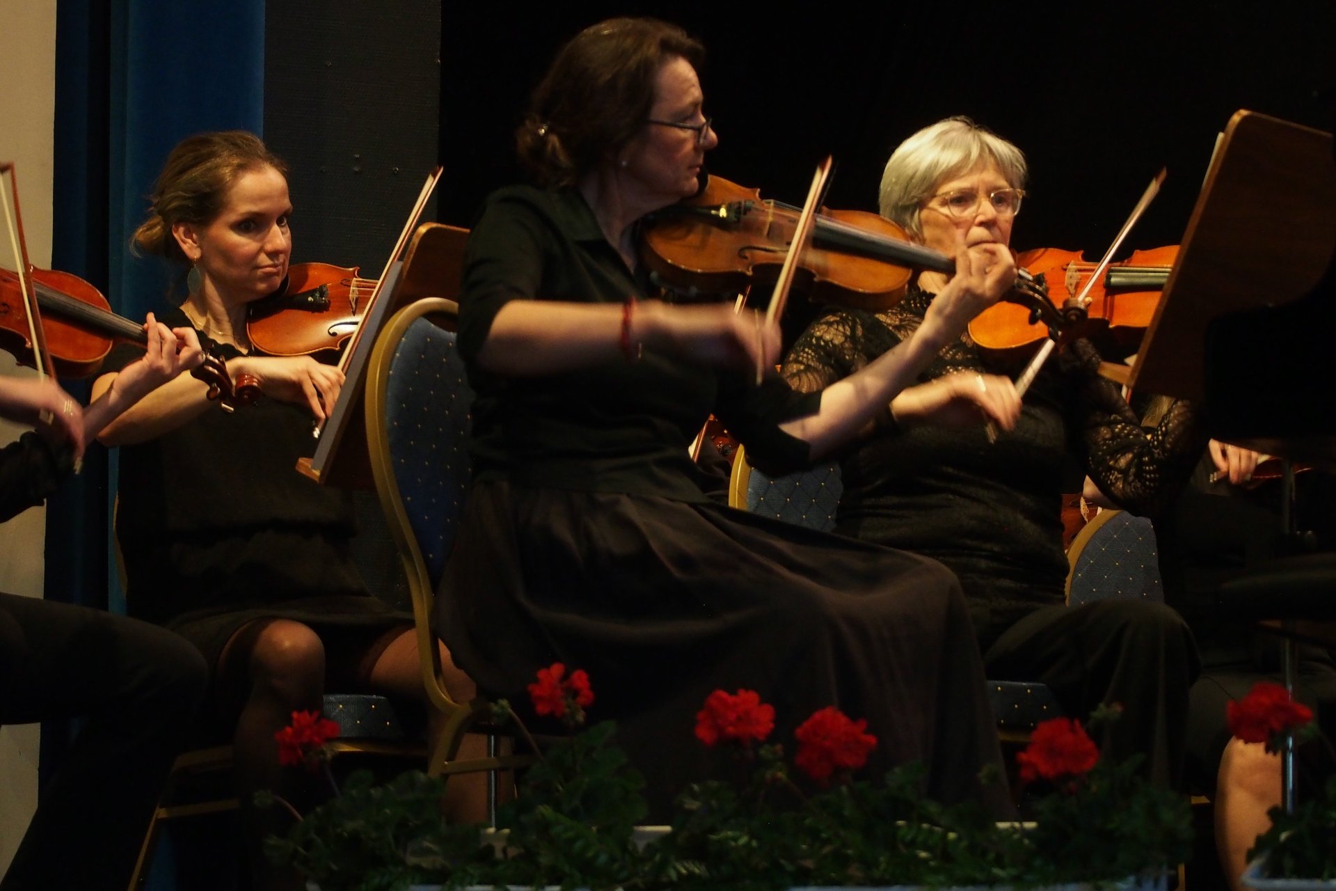 black and white bed linen