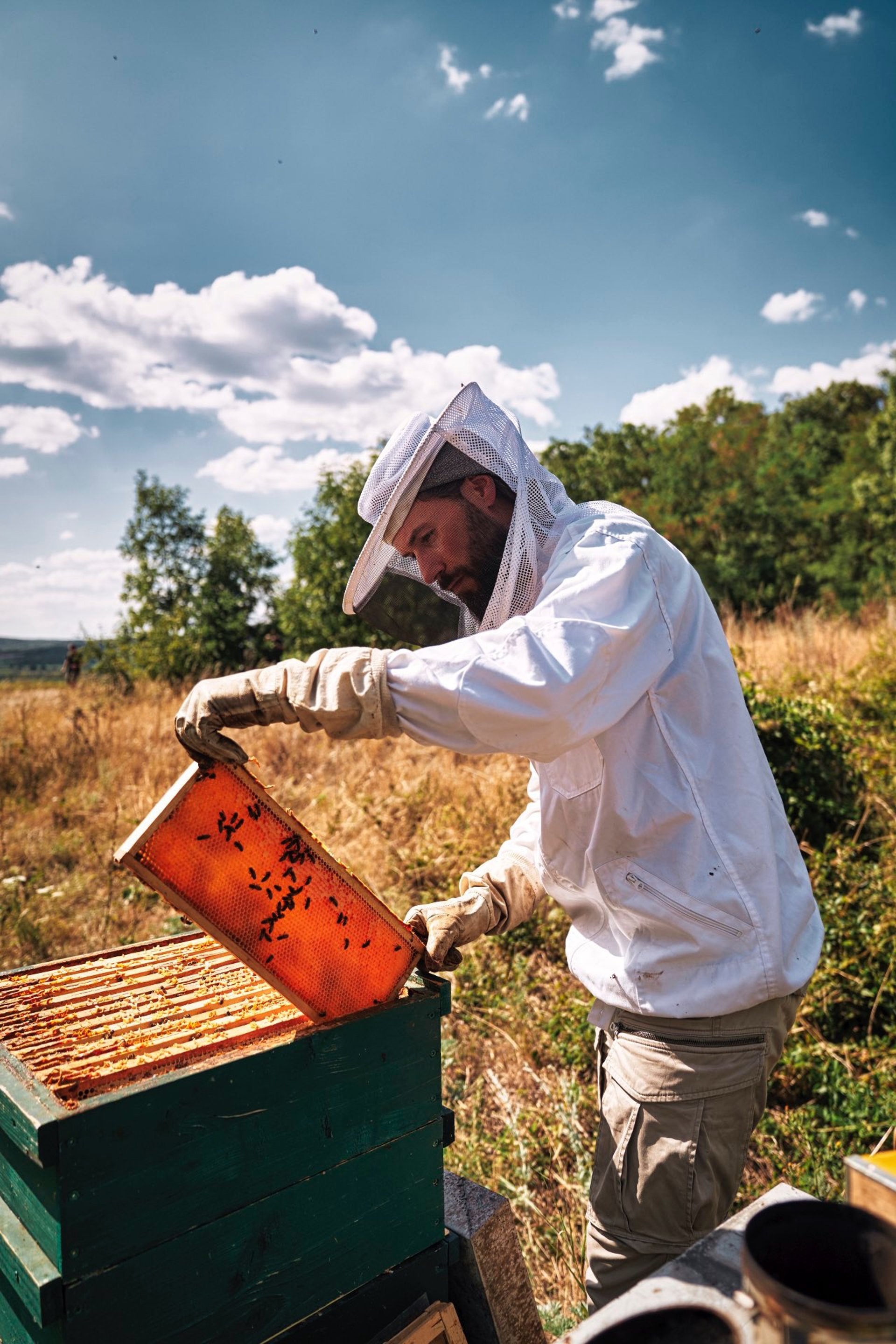 Imker Simon Tötschinger beim öffnen von einem Bienenstock