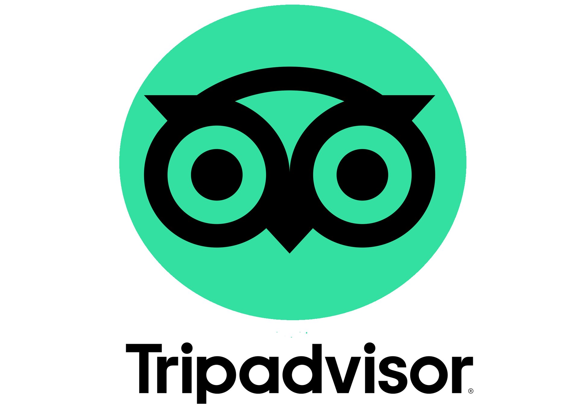 Logo Tripadvisor