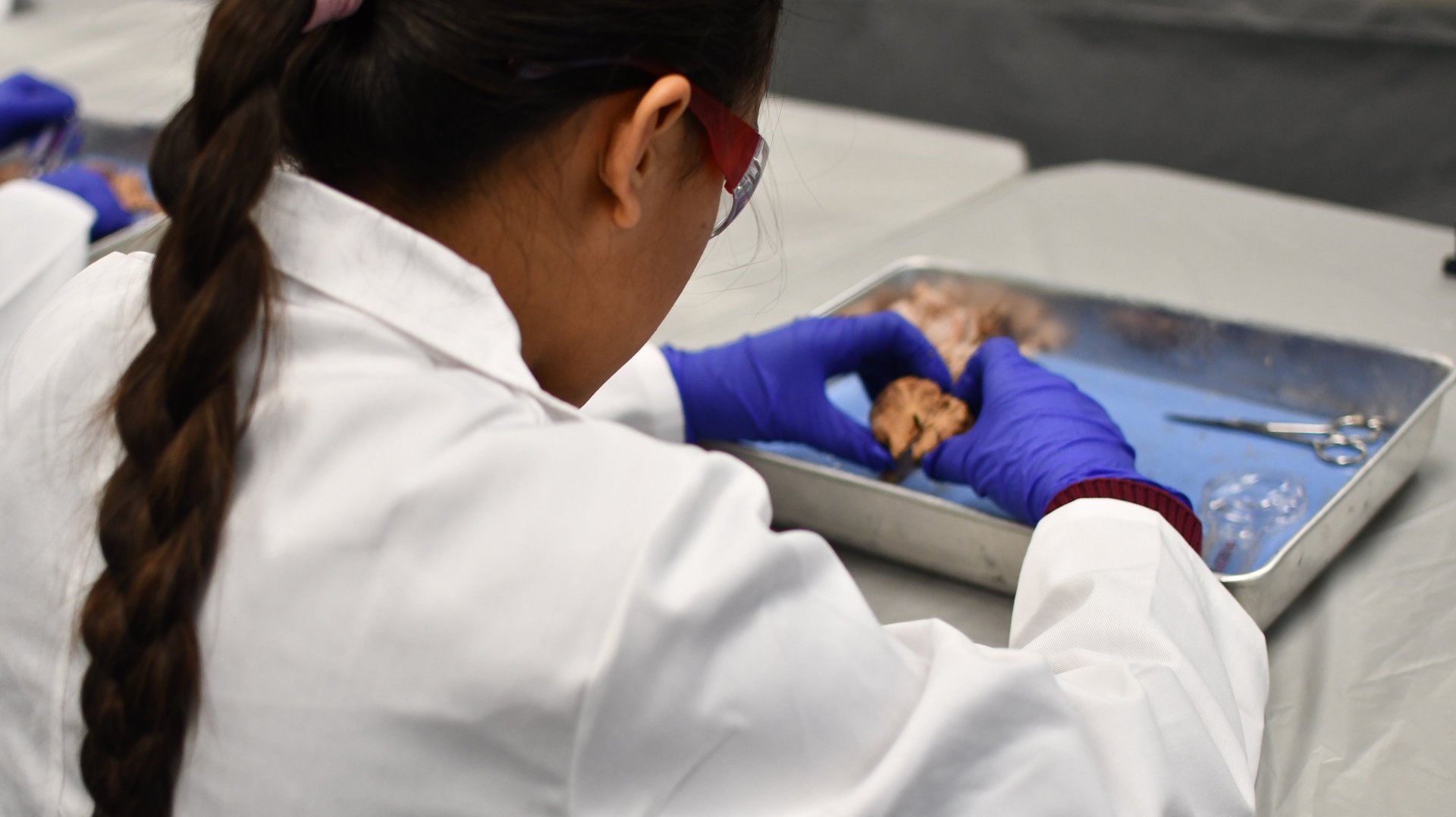 white robot action toy