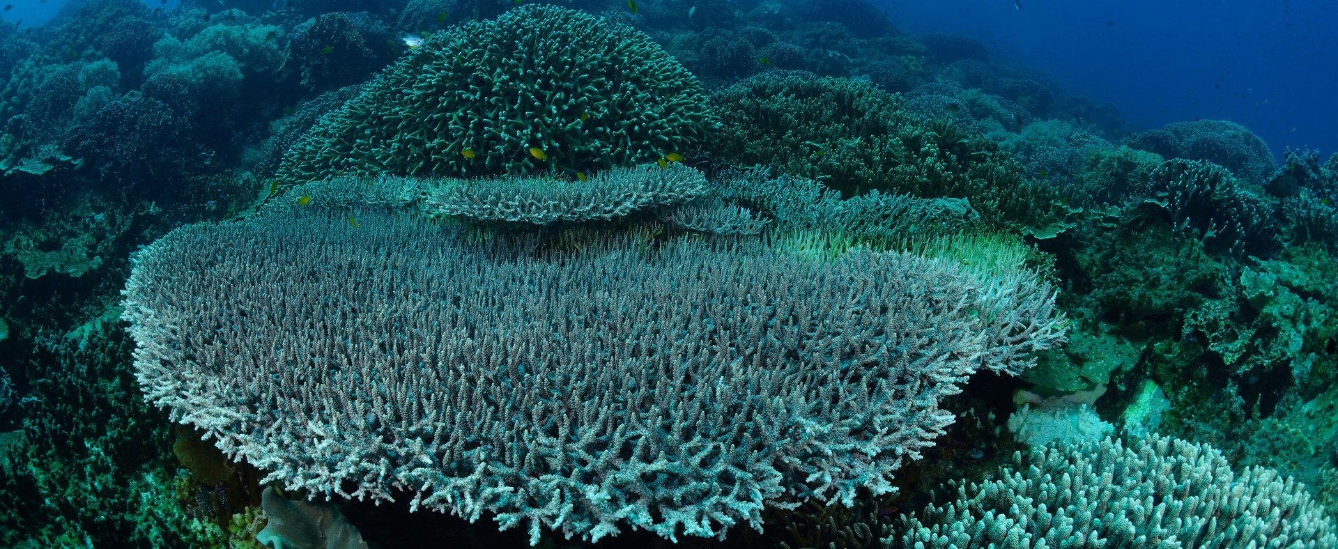 mountain range under blue sky