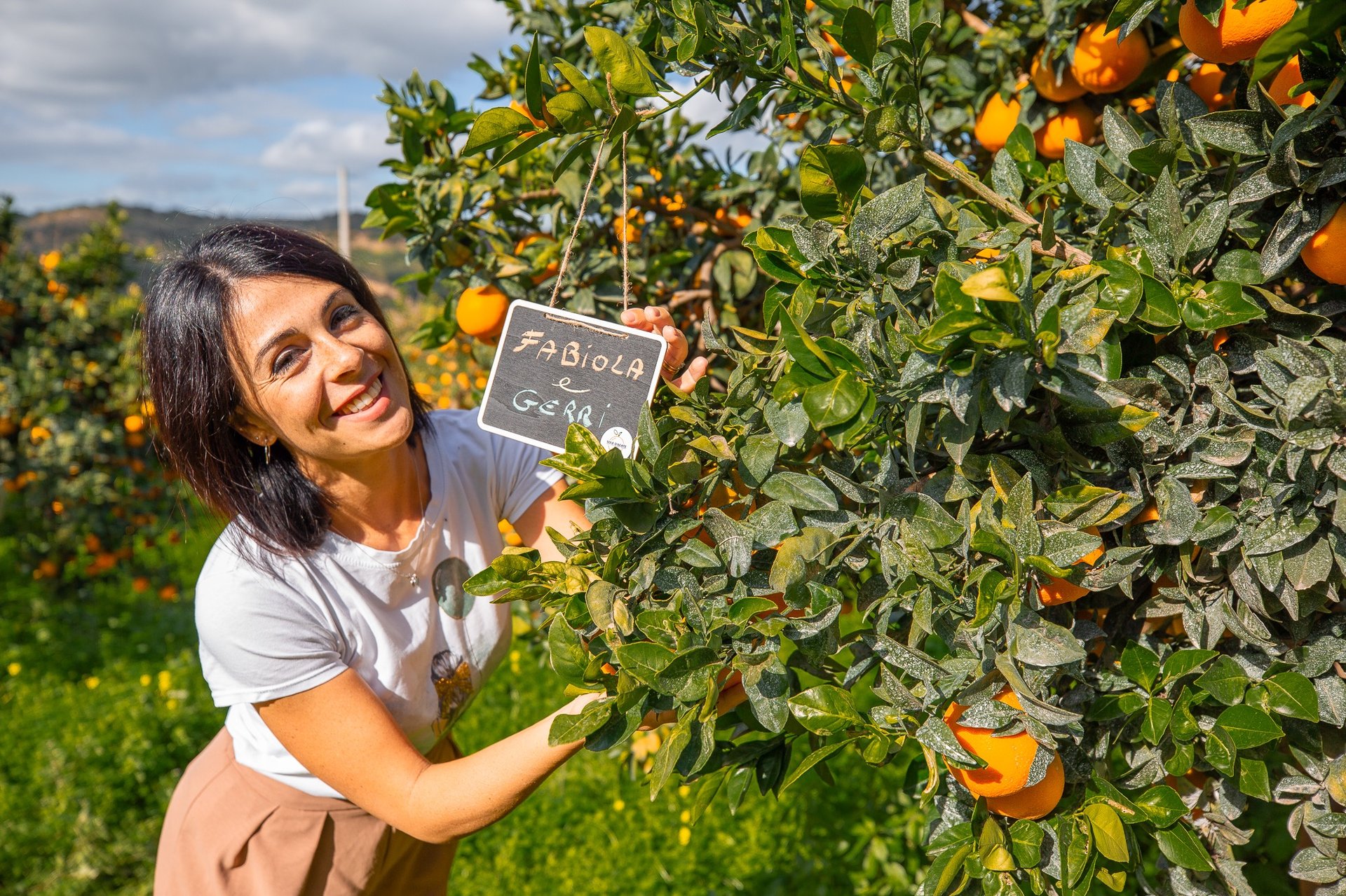 bunch of orange fruits