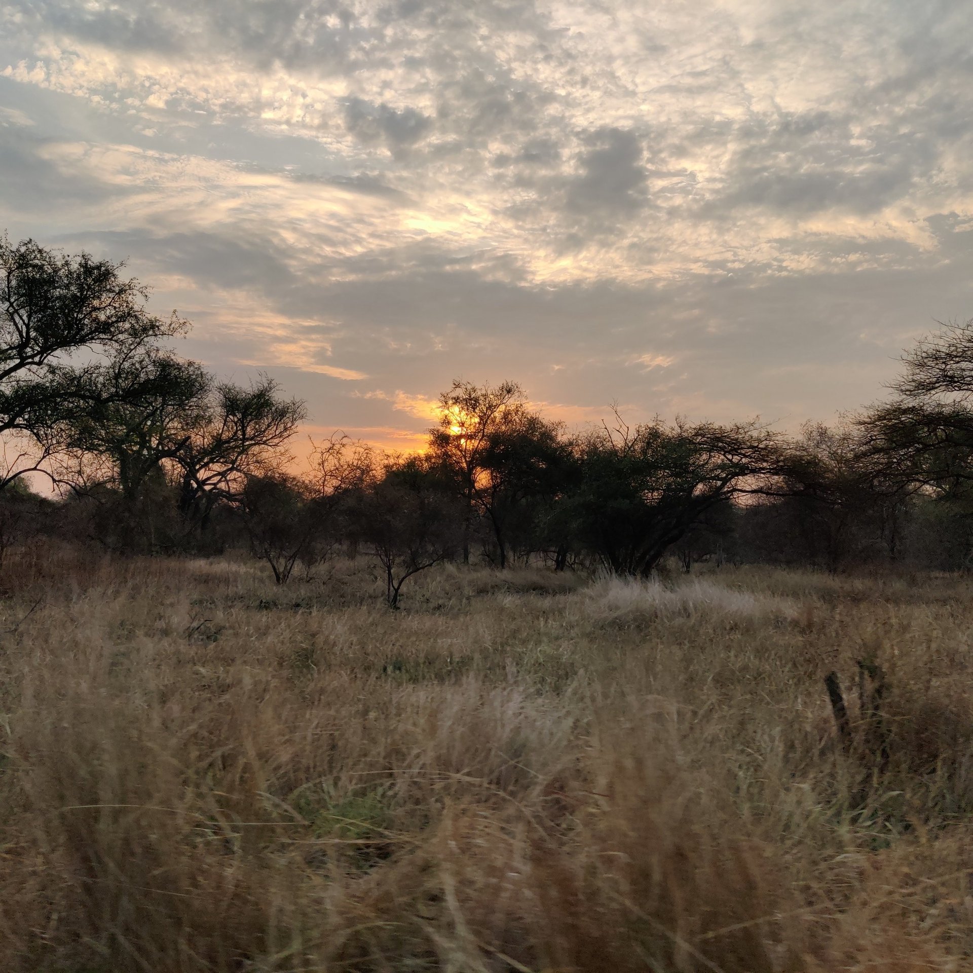 black and brown leather padded tub sofa